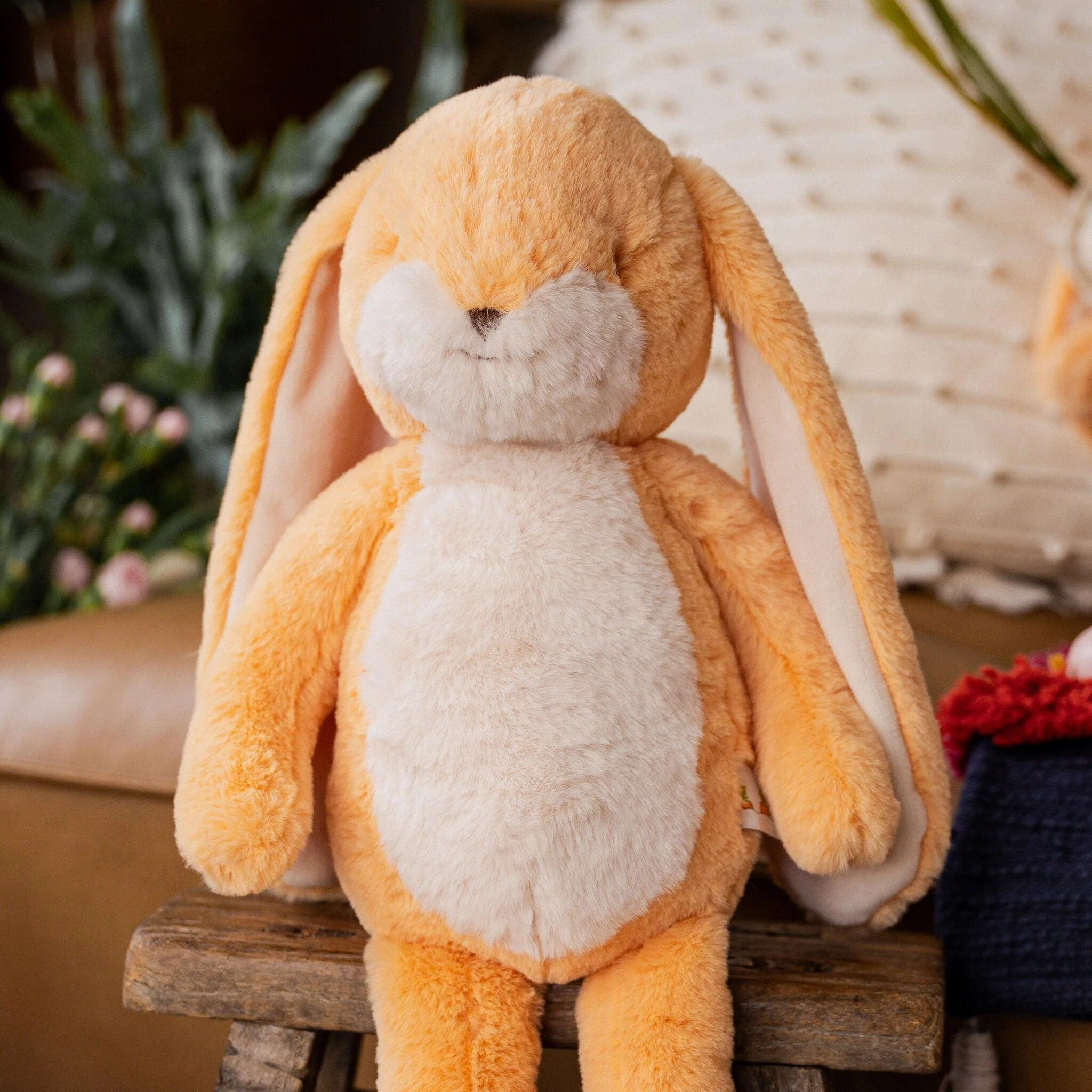 RETIRED - Sweet Floppy Nibble 16" Bunny - Apricot Cream - Image 2