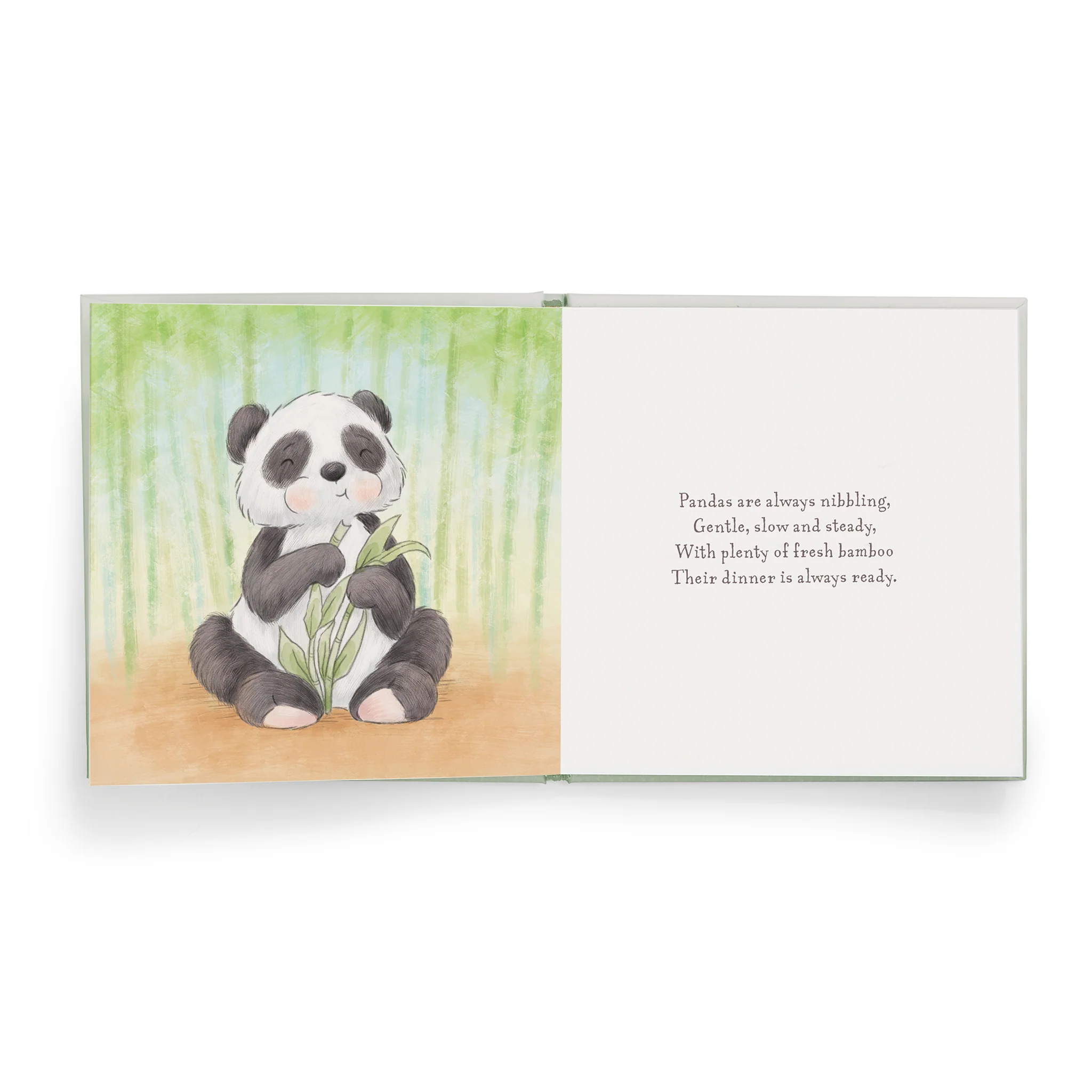 RETIRED - A Jungle Story Gift Set - Image 4