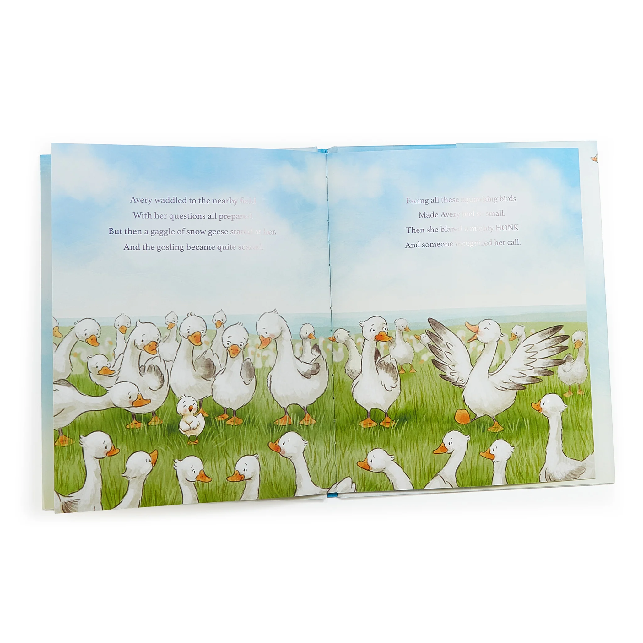 Avery Aviator Learns to Soar Story Book - Image 3