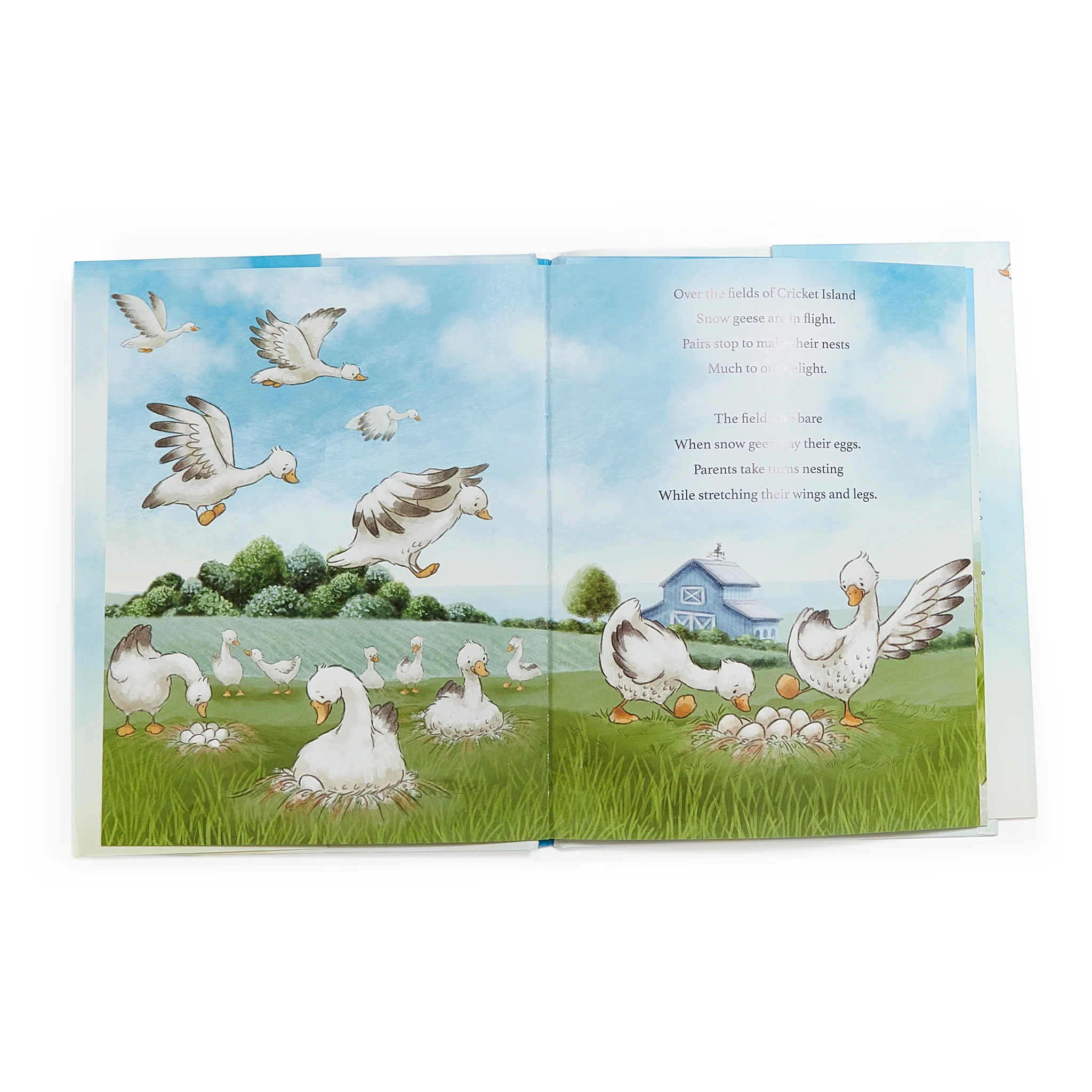 Avery Aviator Learns to Soar Story Book - Image 6