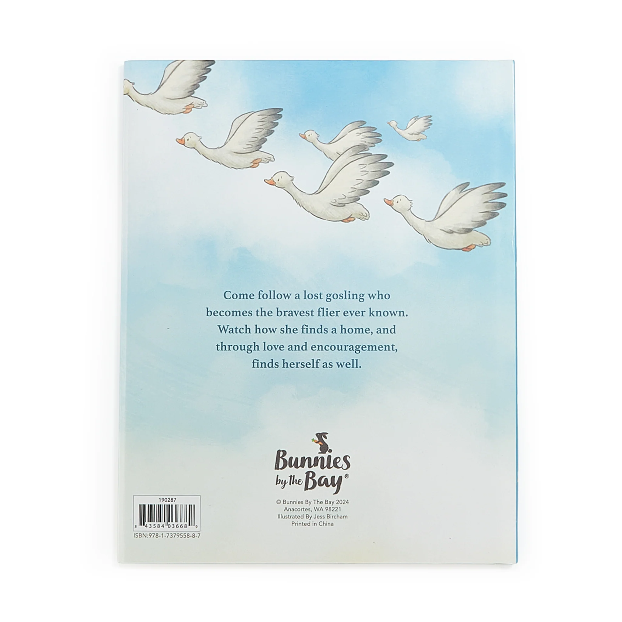 Avery Aviator Learns to Soar Story Book - Image 7