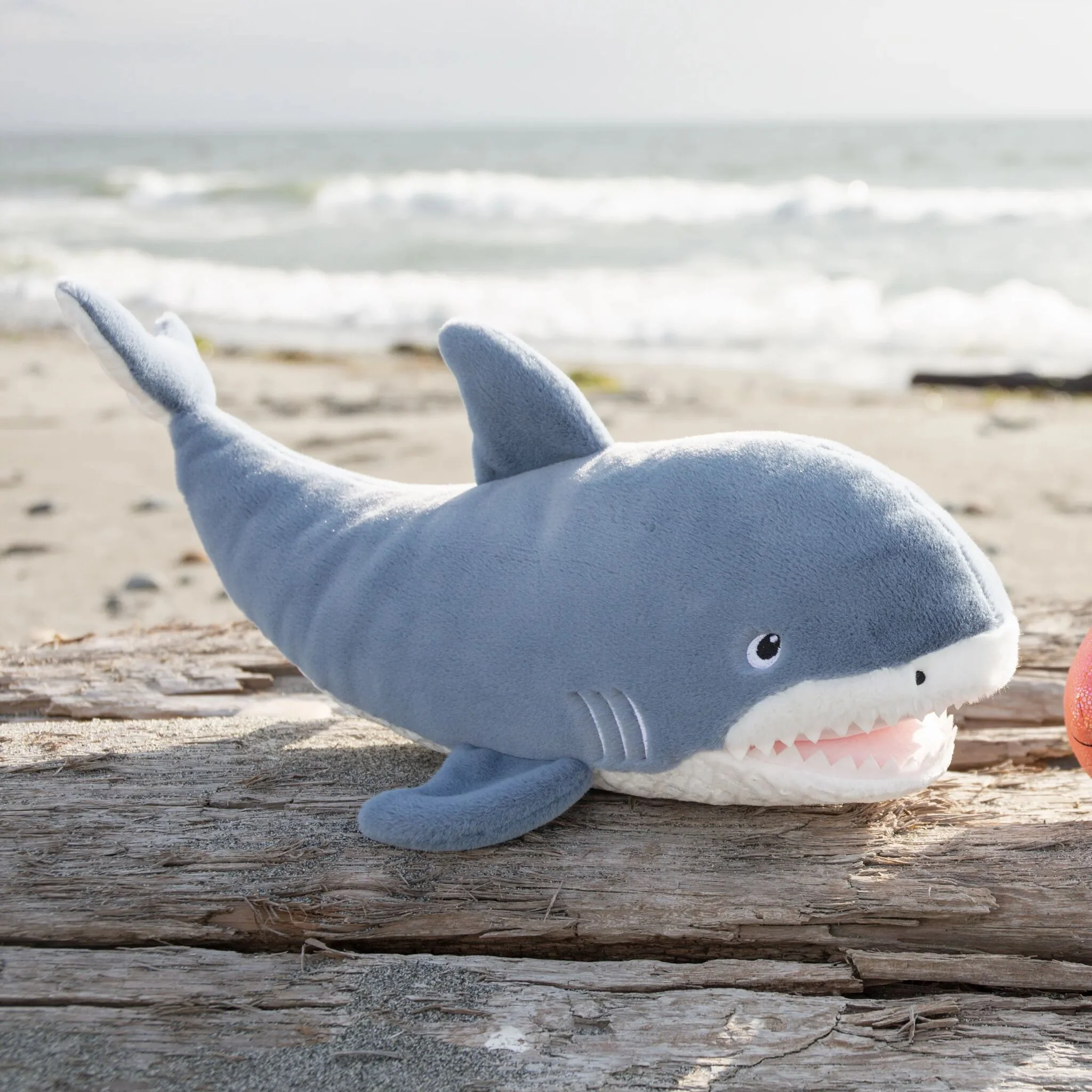Axel the Shark - Image 5