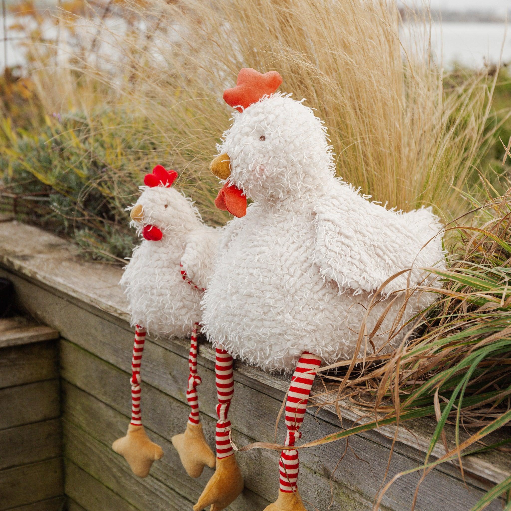 Big Clucky the Chicken - Image 2