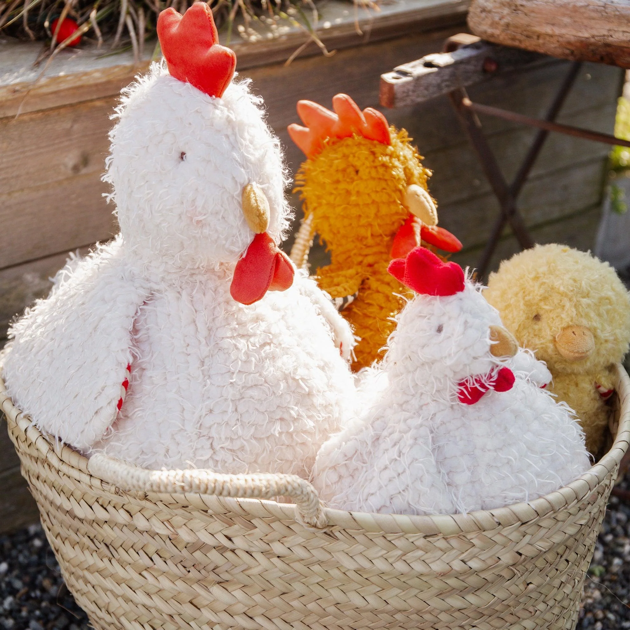 Big Clucky the Chicken - Image 5