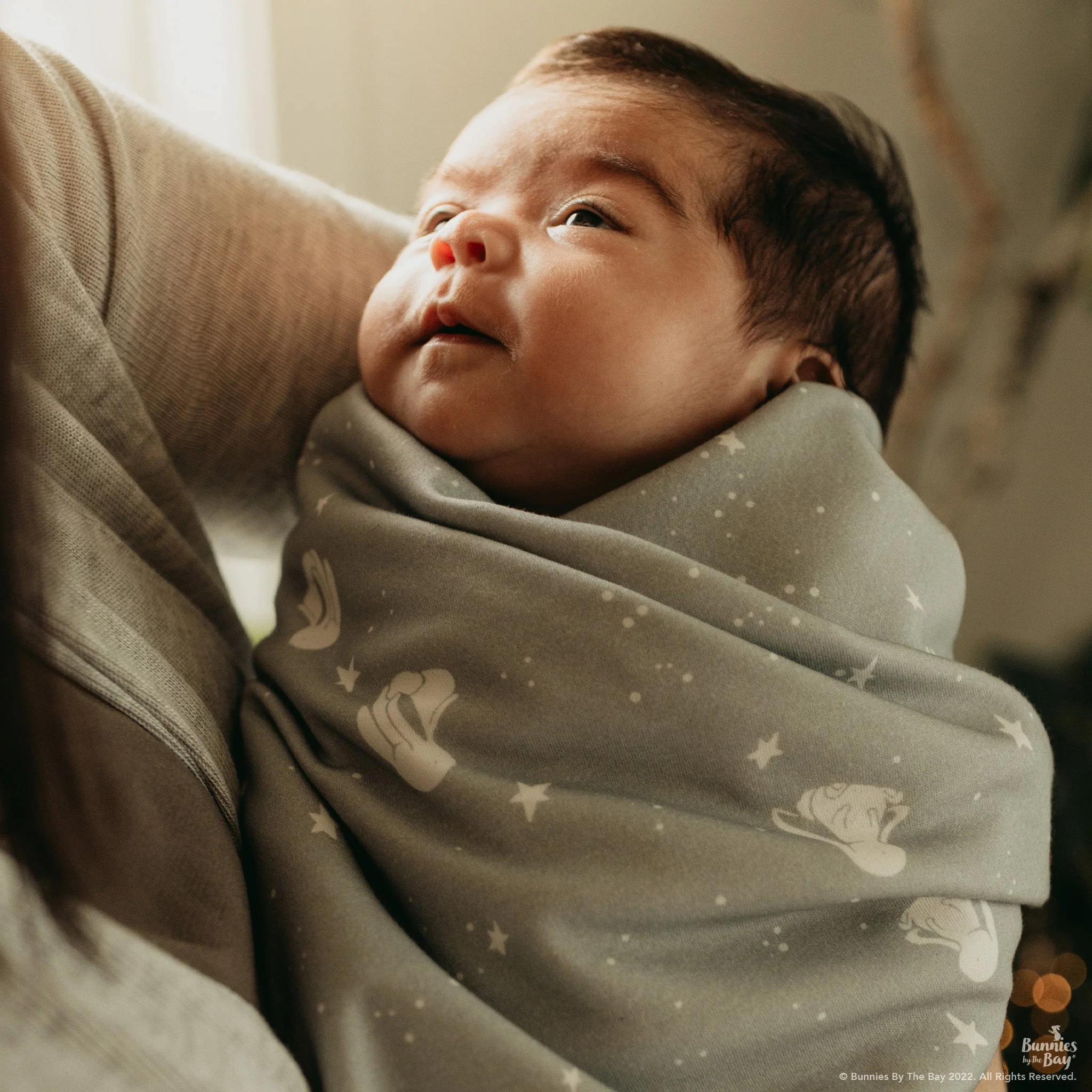 RETIRED - Bloom's Organic Receiving Blanket - Image 4