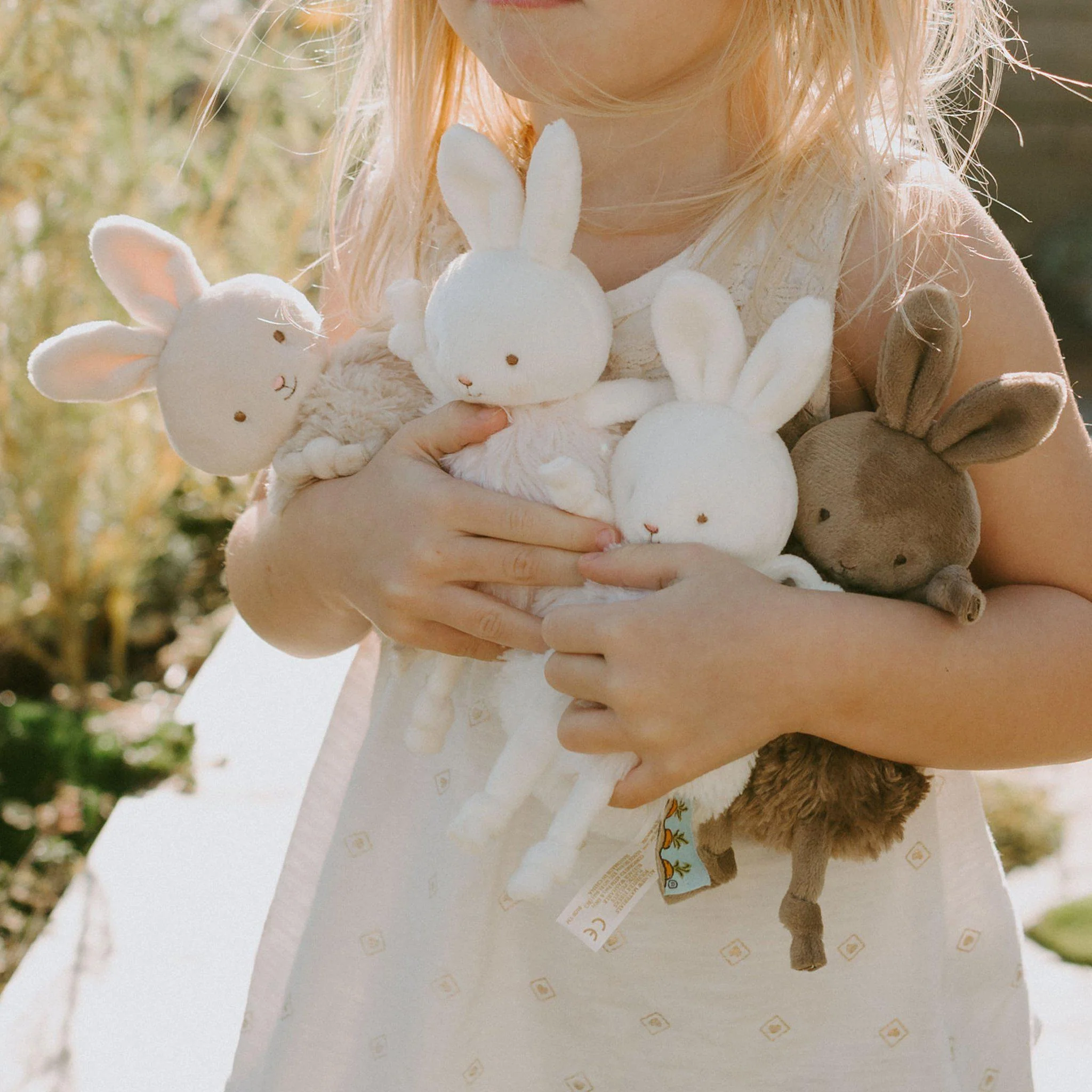 Roly Poly Brownie - Brown Bunny - Image 4