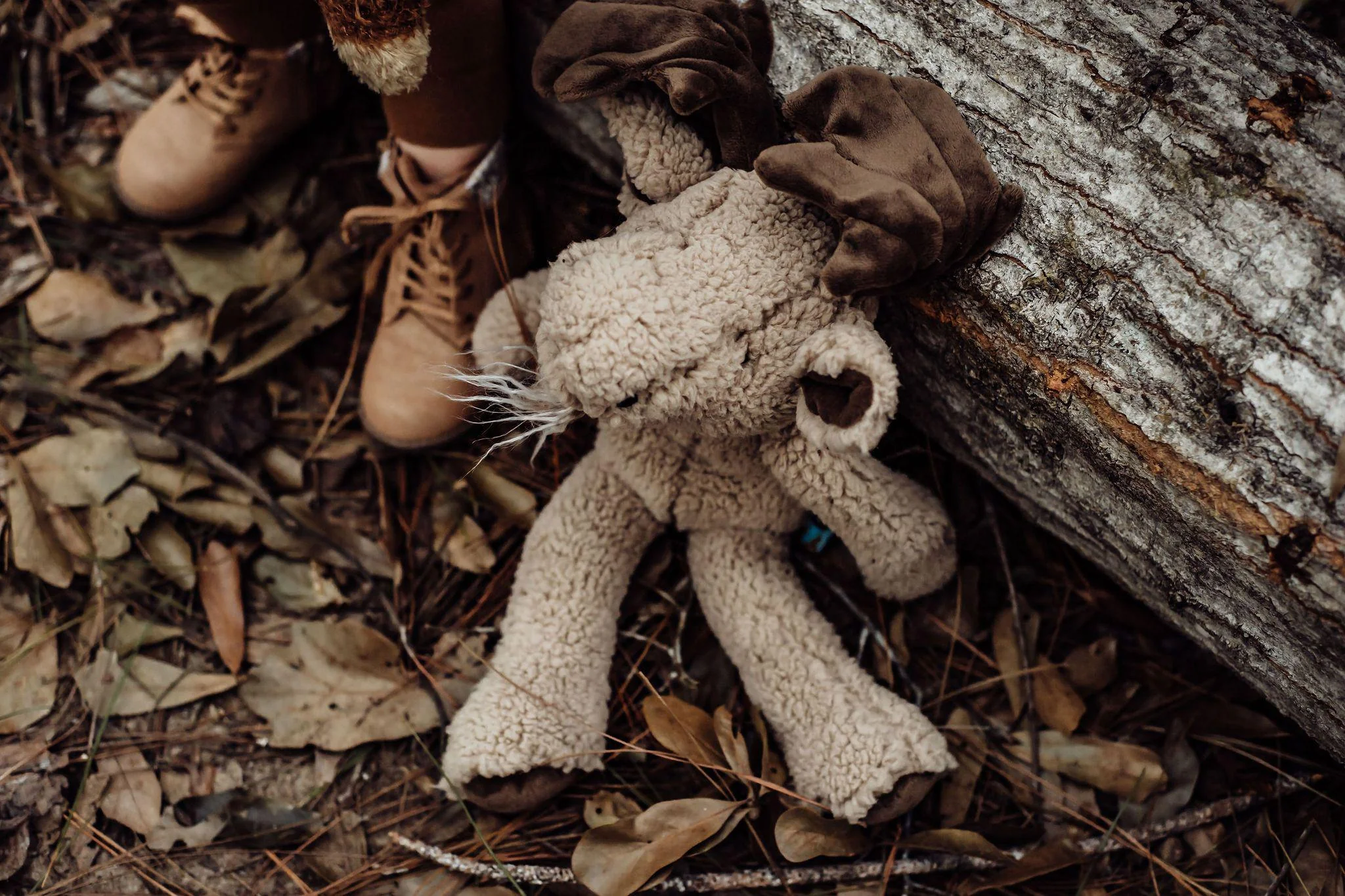 RETIRED - Bruce the Moose Saves The Day! Gift Set - Image 2