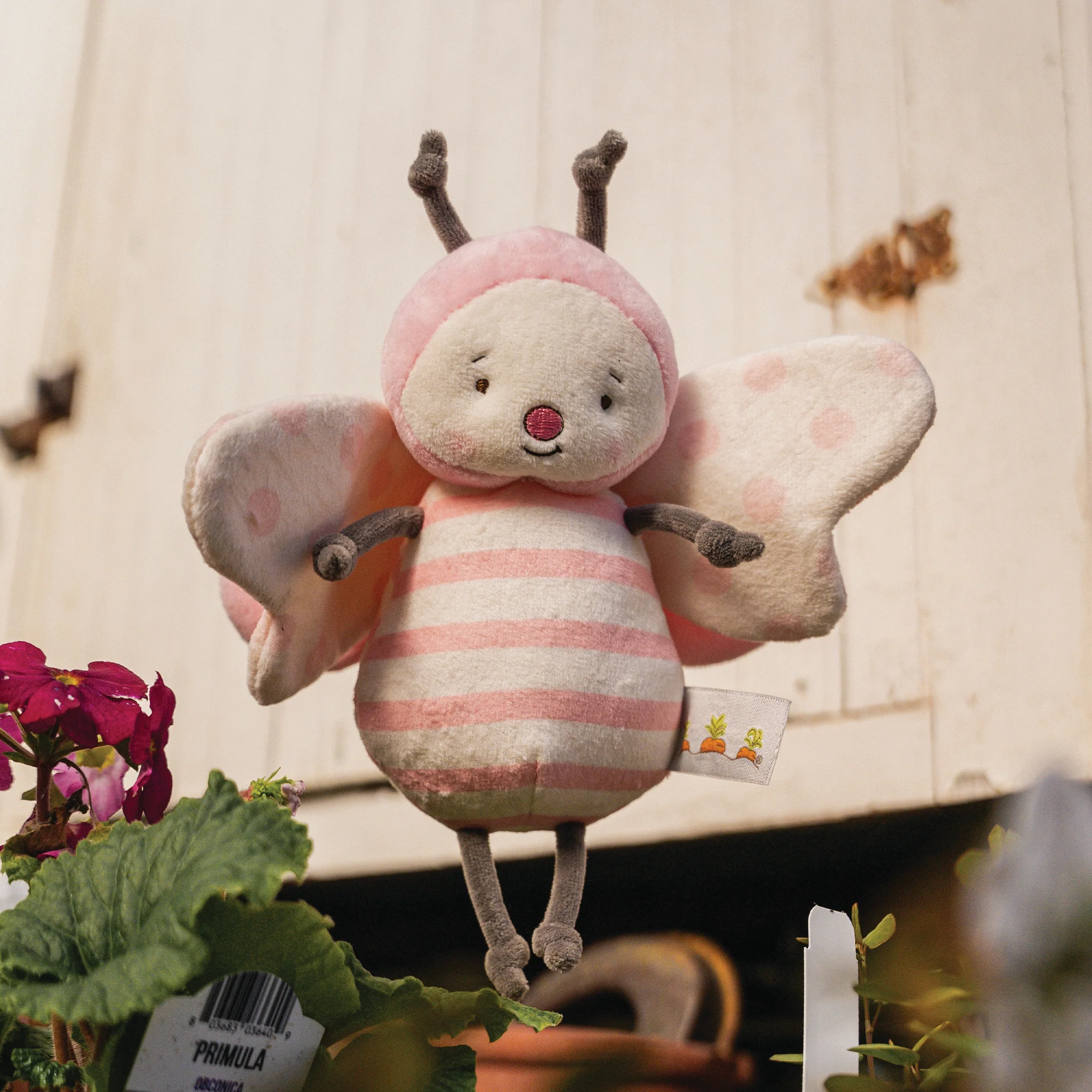 RETIRED - Flutter Butterfly - Image 5