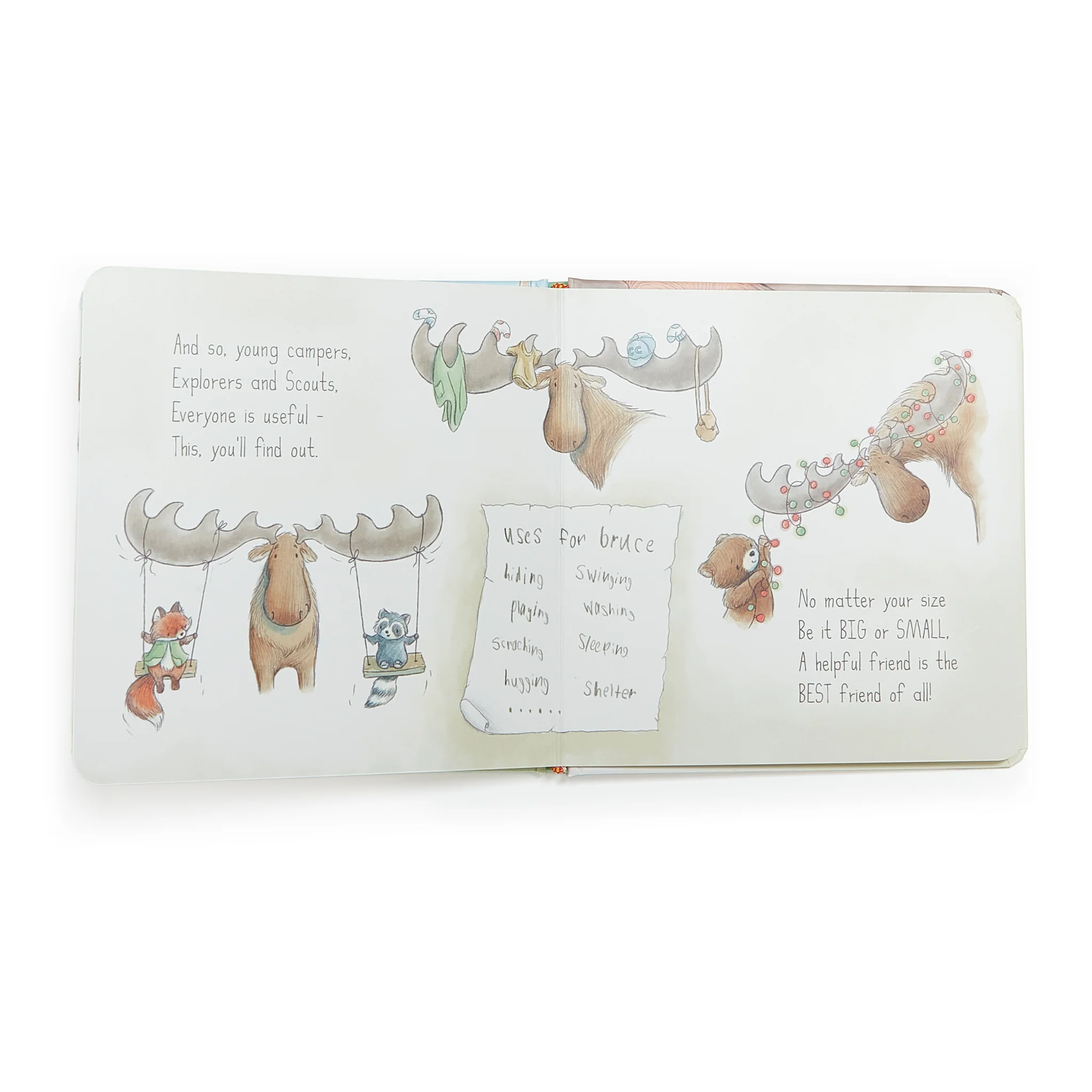 Camp Cricket Book - Image 5