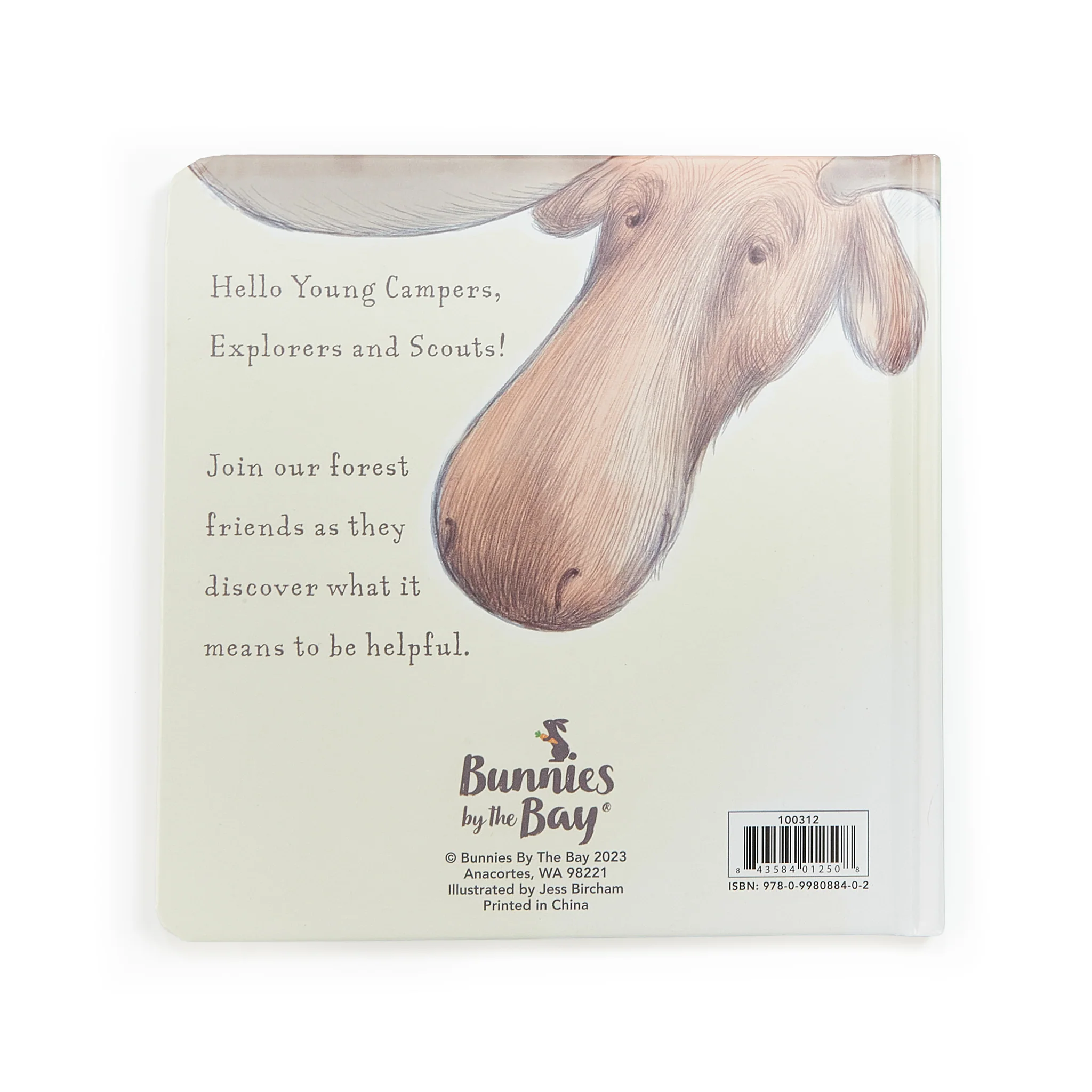 Camp Cricket Book - Image 6
