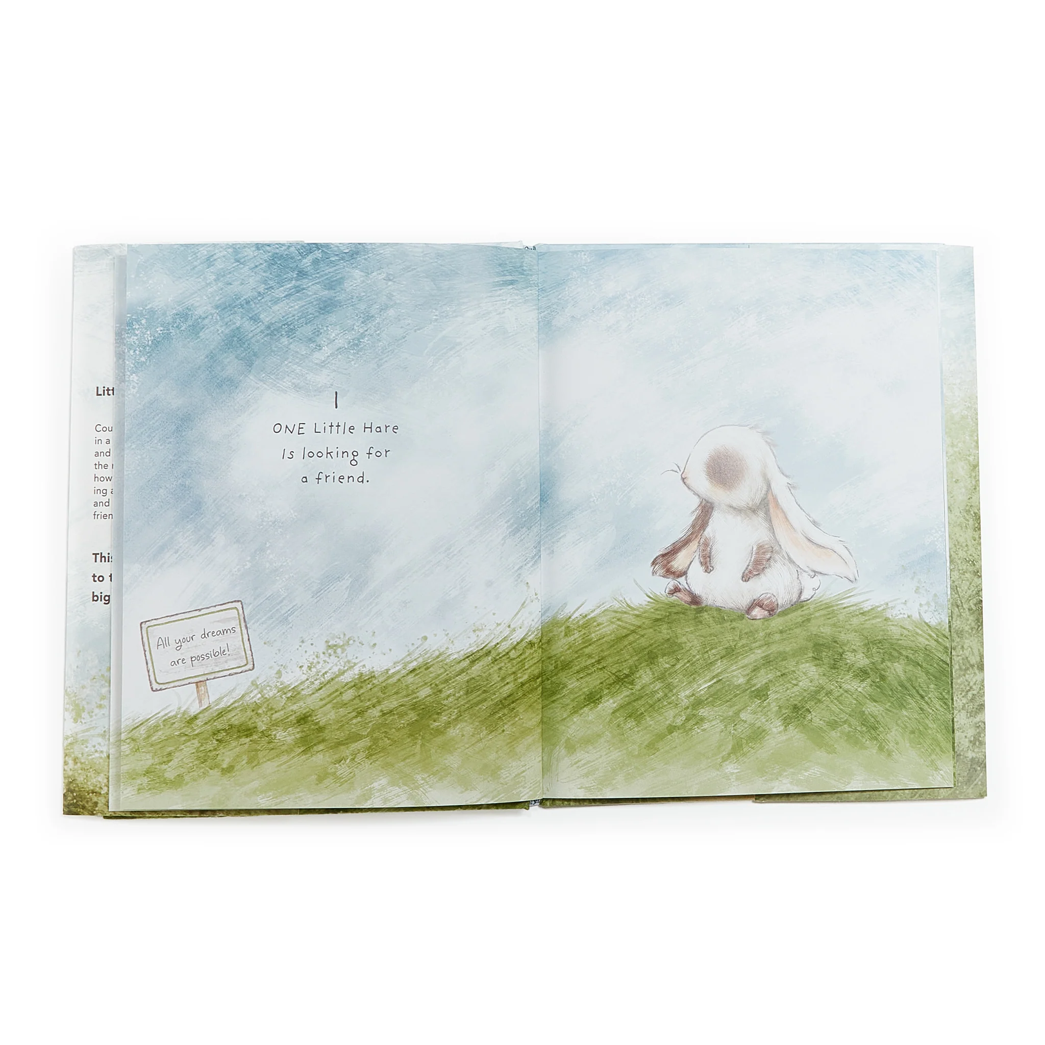 RETIRED - Every Hare Counts Book - Image 5