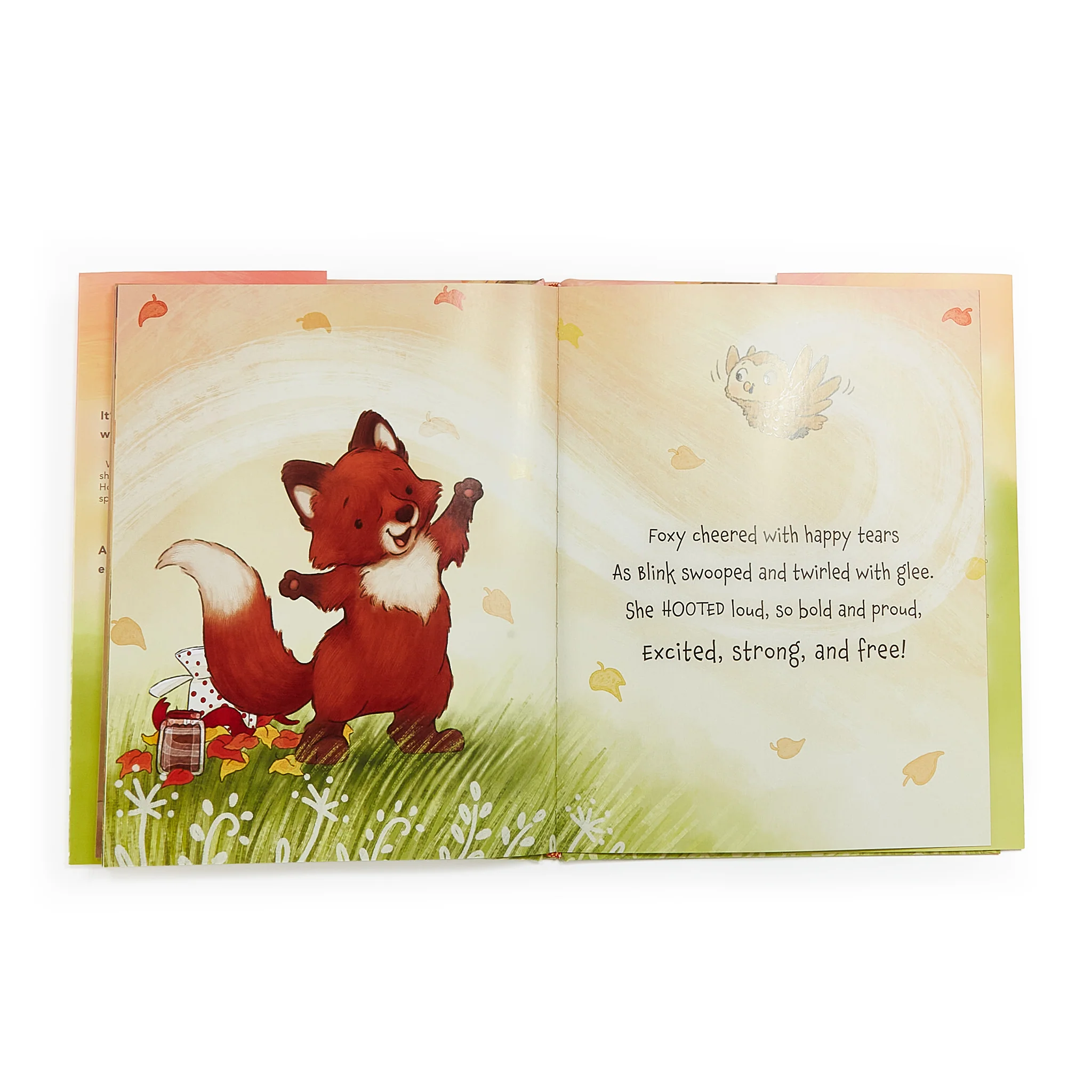 Foxy & Blink Flying Lesson Story Book - Image 4