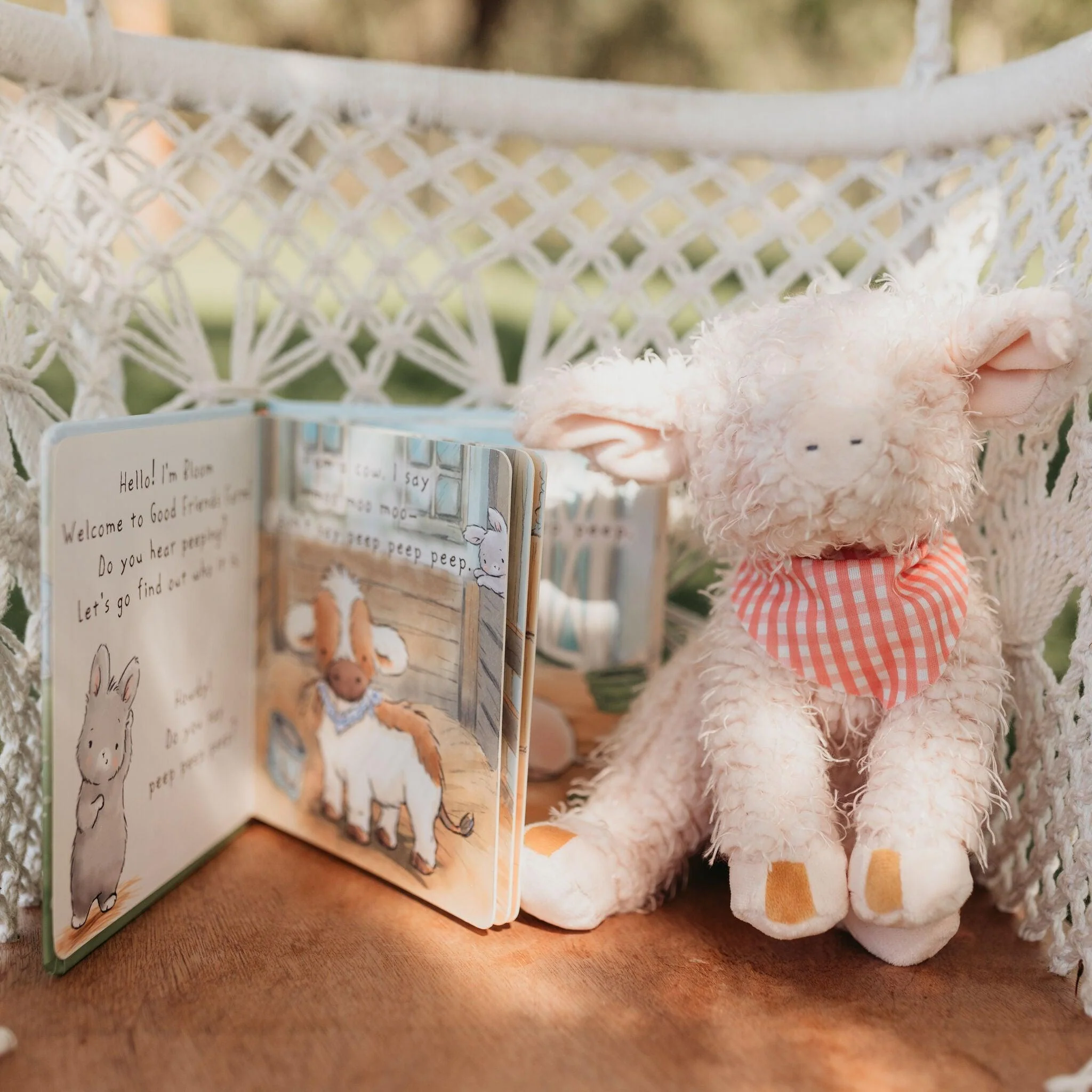 Hammie Book Bundle - Image 3