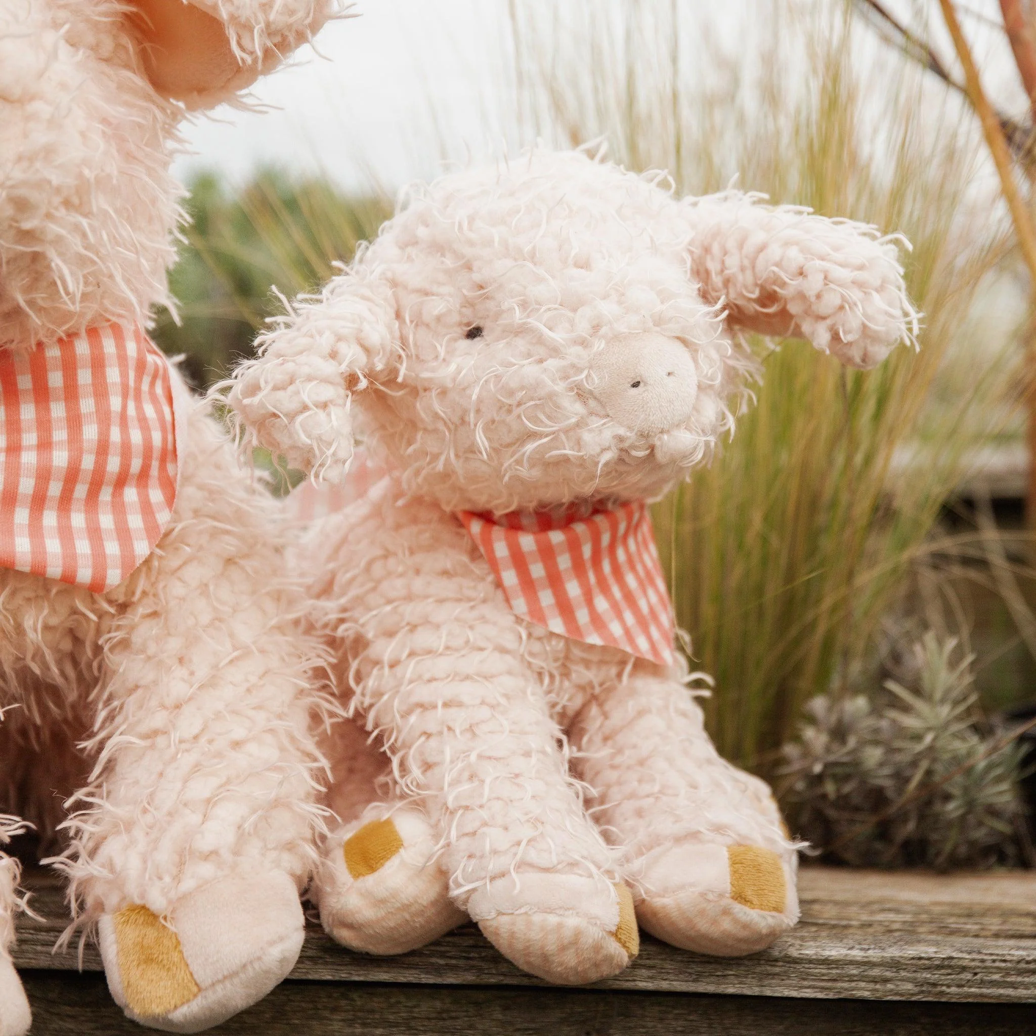 Hammie the Pig - Image 5