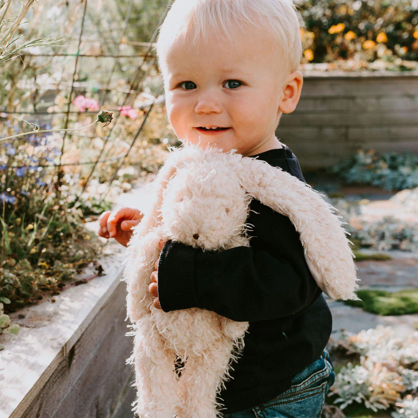 Harey the Bunny Rabbit - Image 5