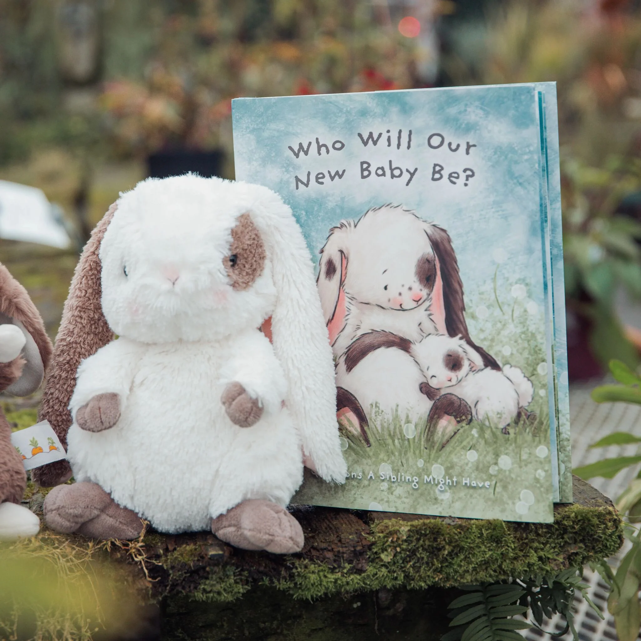 Herby Hare Book Bundle - Image 3