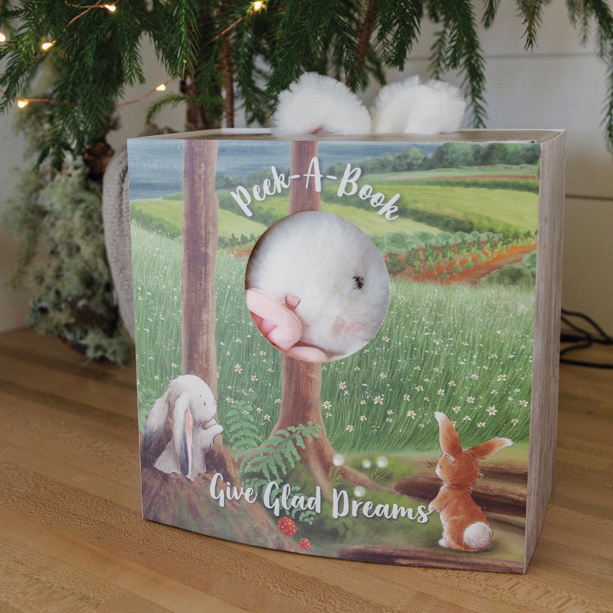 RETIRED - Hide and Seek Blossom Book and Plush Boxed Set - Image 2