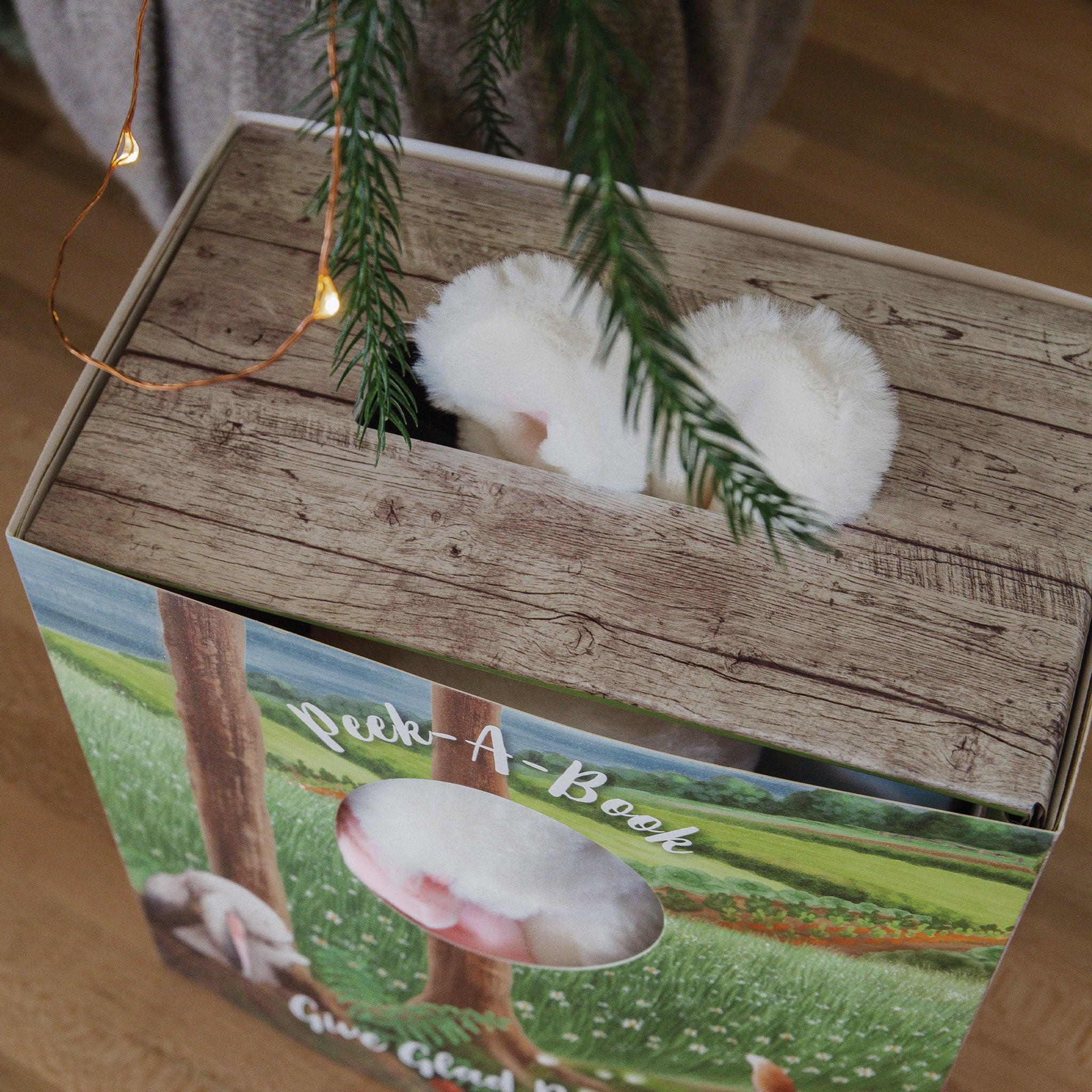RETIRED - Hide and Seek Blossom Book and Plush Boxed Set - Image 4