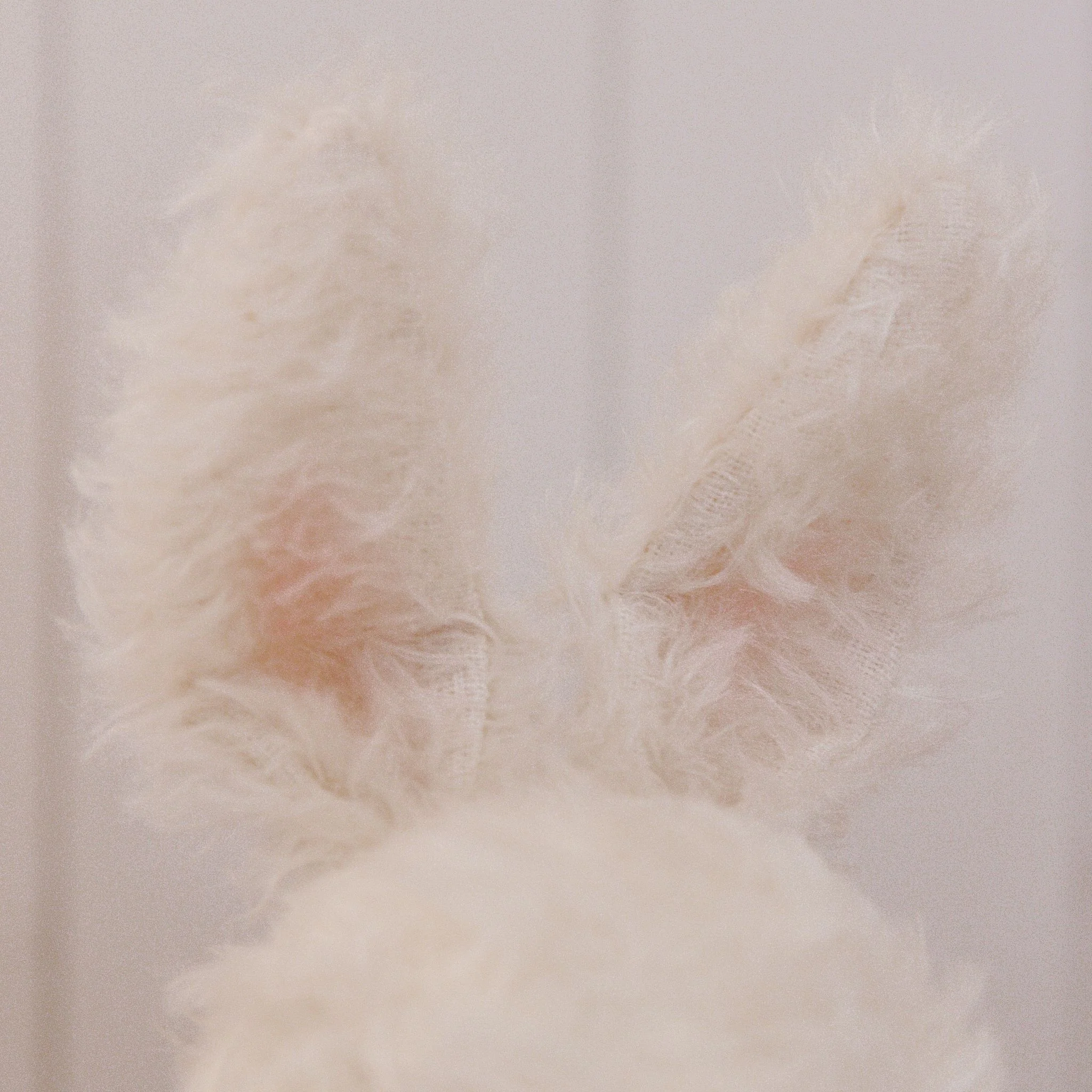 RETIRED - Hutch Studio - Lovely Love Note - Hand-Crafted Curly Mohair Cream Bunny - Image 9