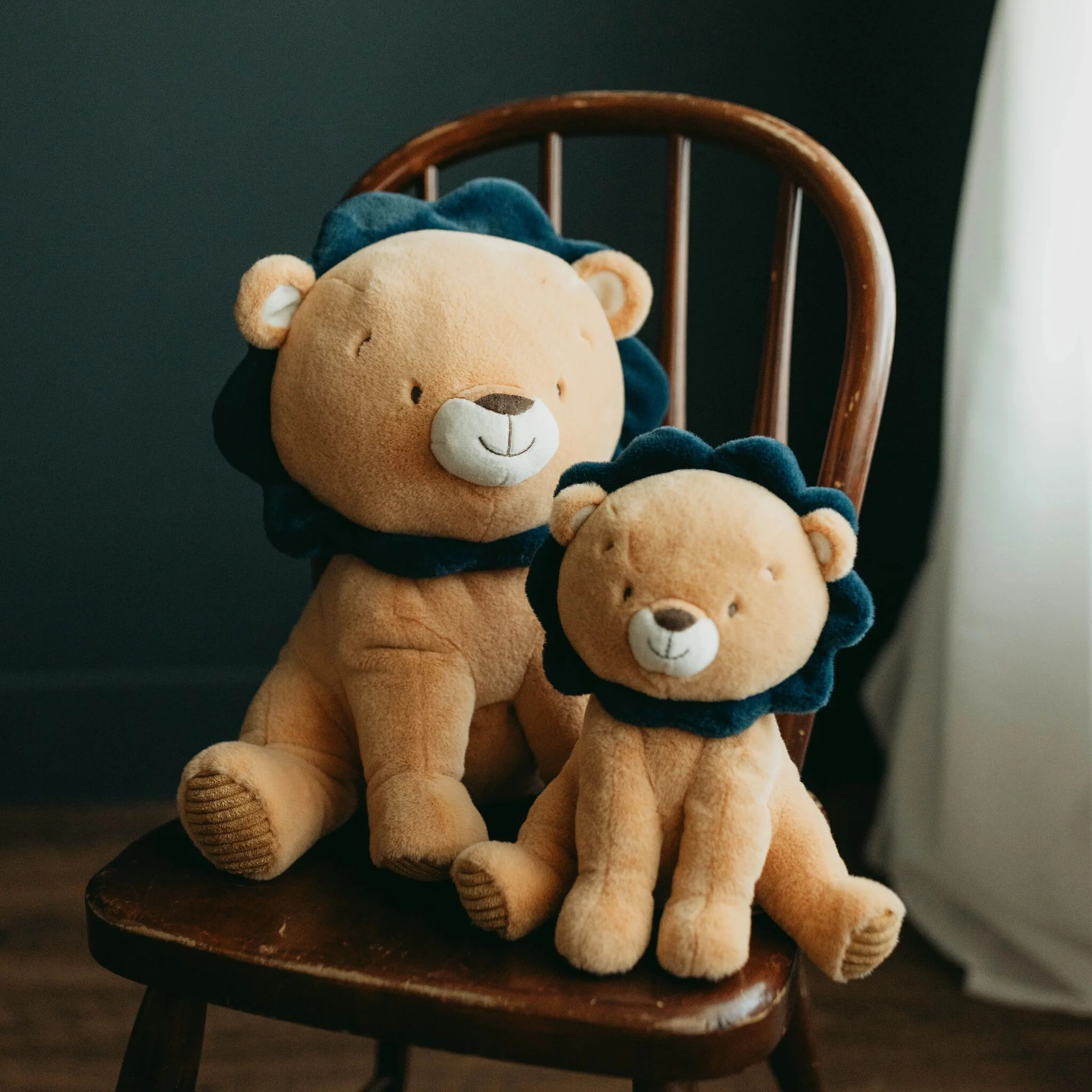 Lenny the Lion - Image 2