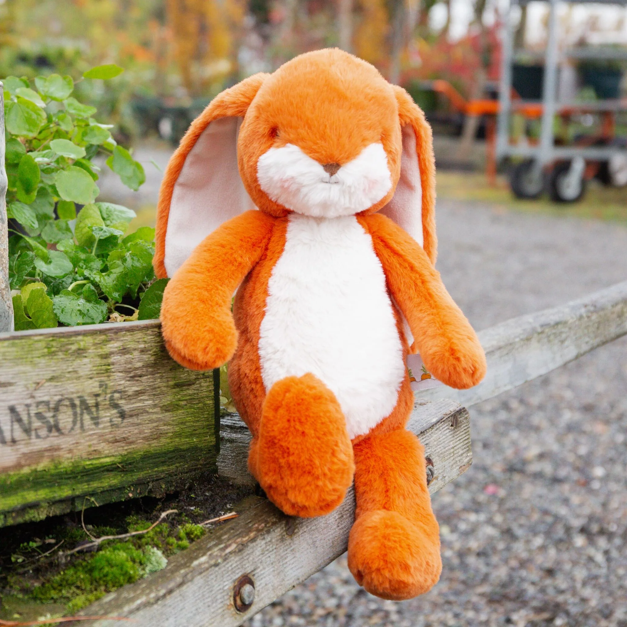 Little 12" Floppy Nibble Bunny - Carrot - Image 2