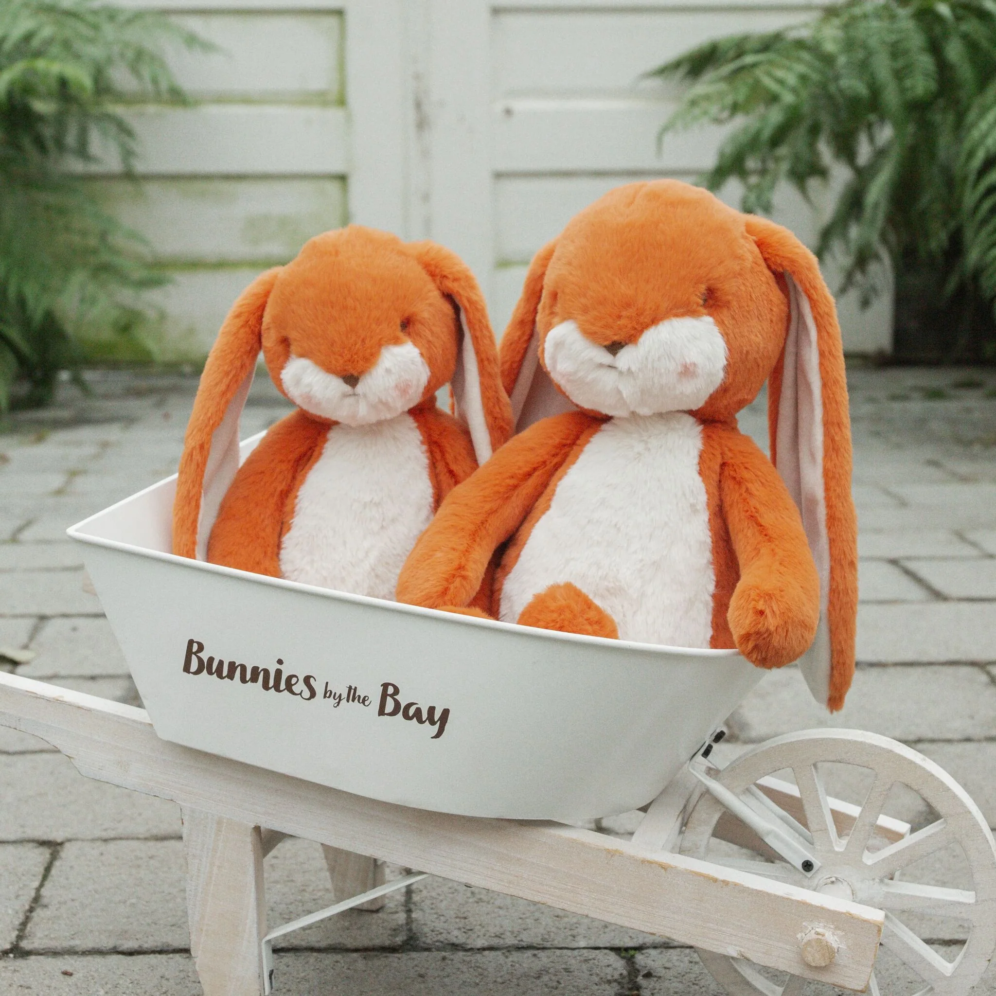 Little 12" Floppy Nibble Bunny - Carrot - Image 6