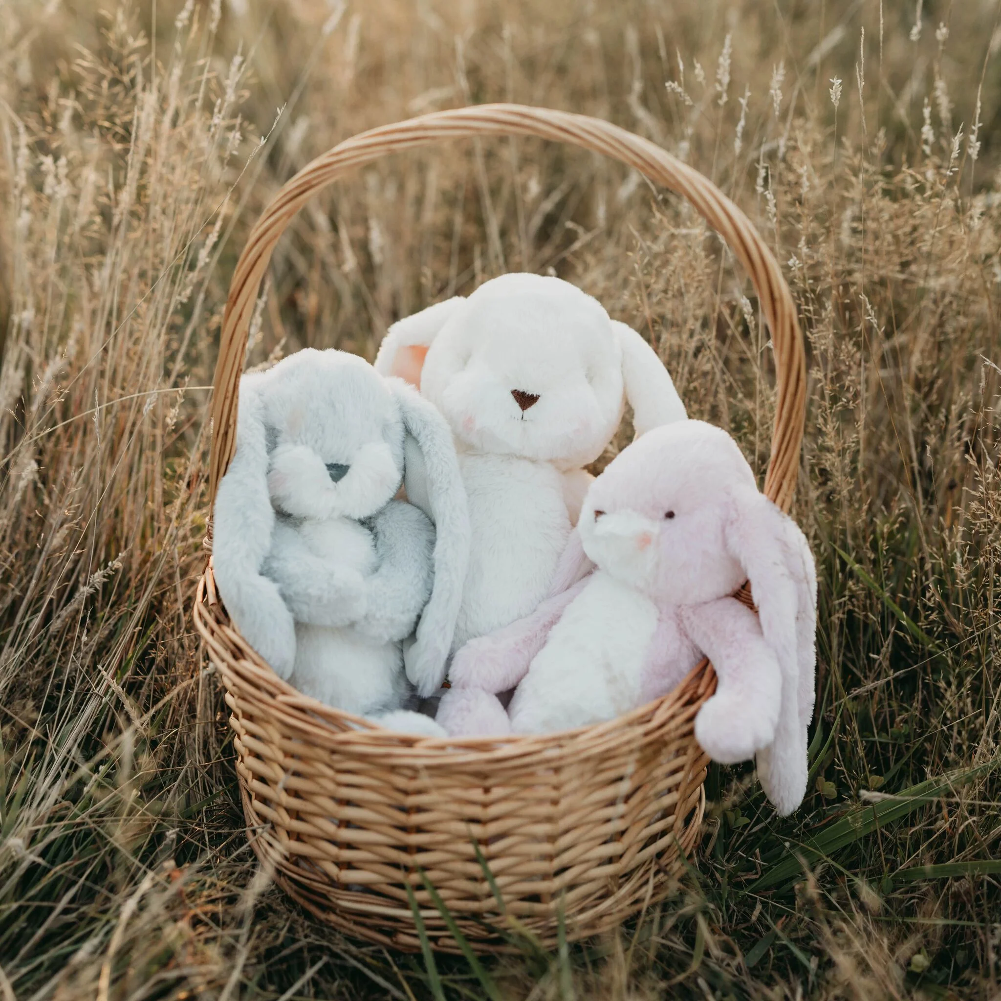 Little 12" Floppy Nibble Bunny - Pink - Image 6