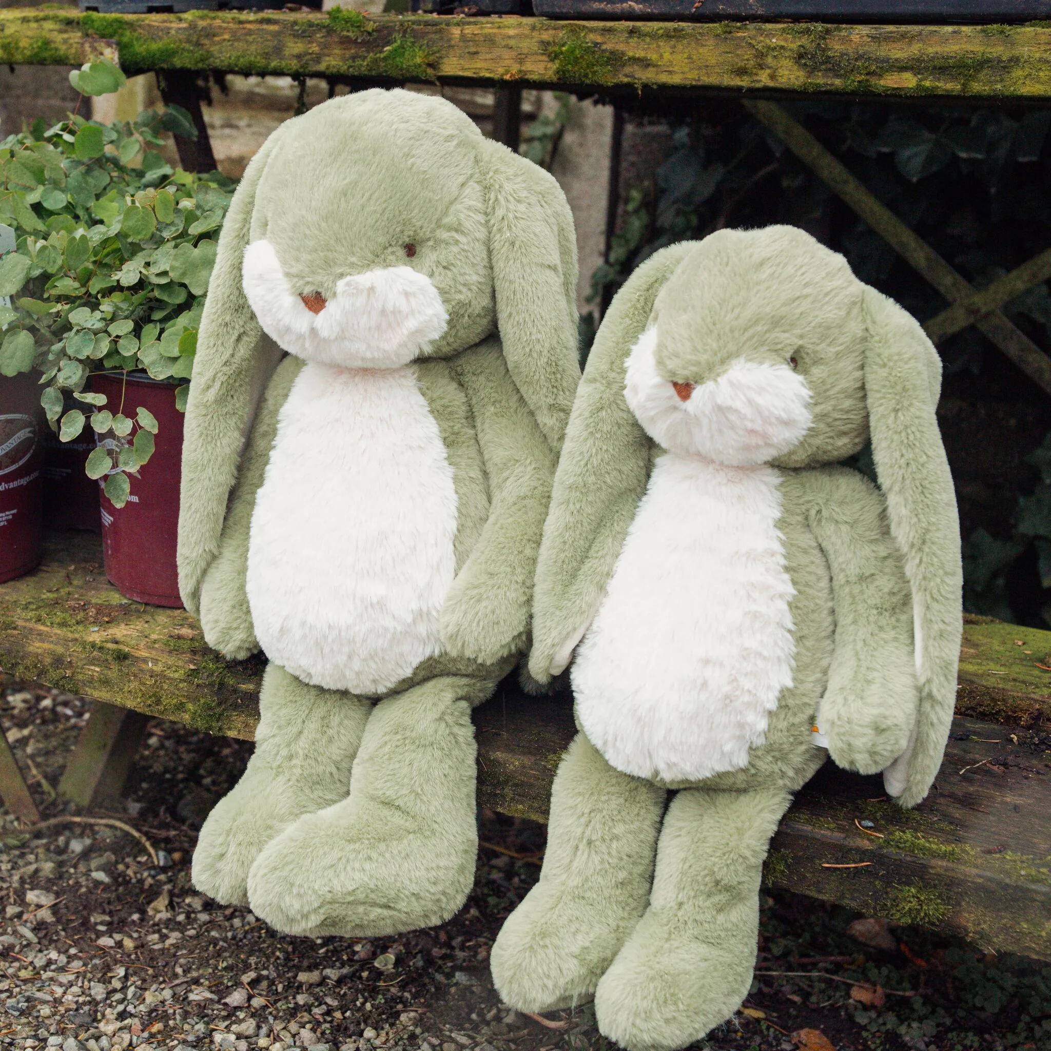 Little 12" Floppy Nibble Bunny – Pistachio - Image 2