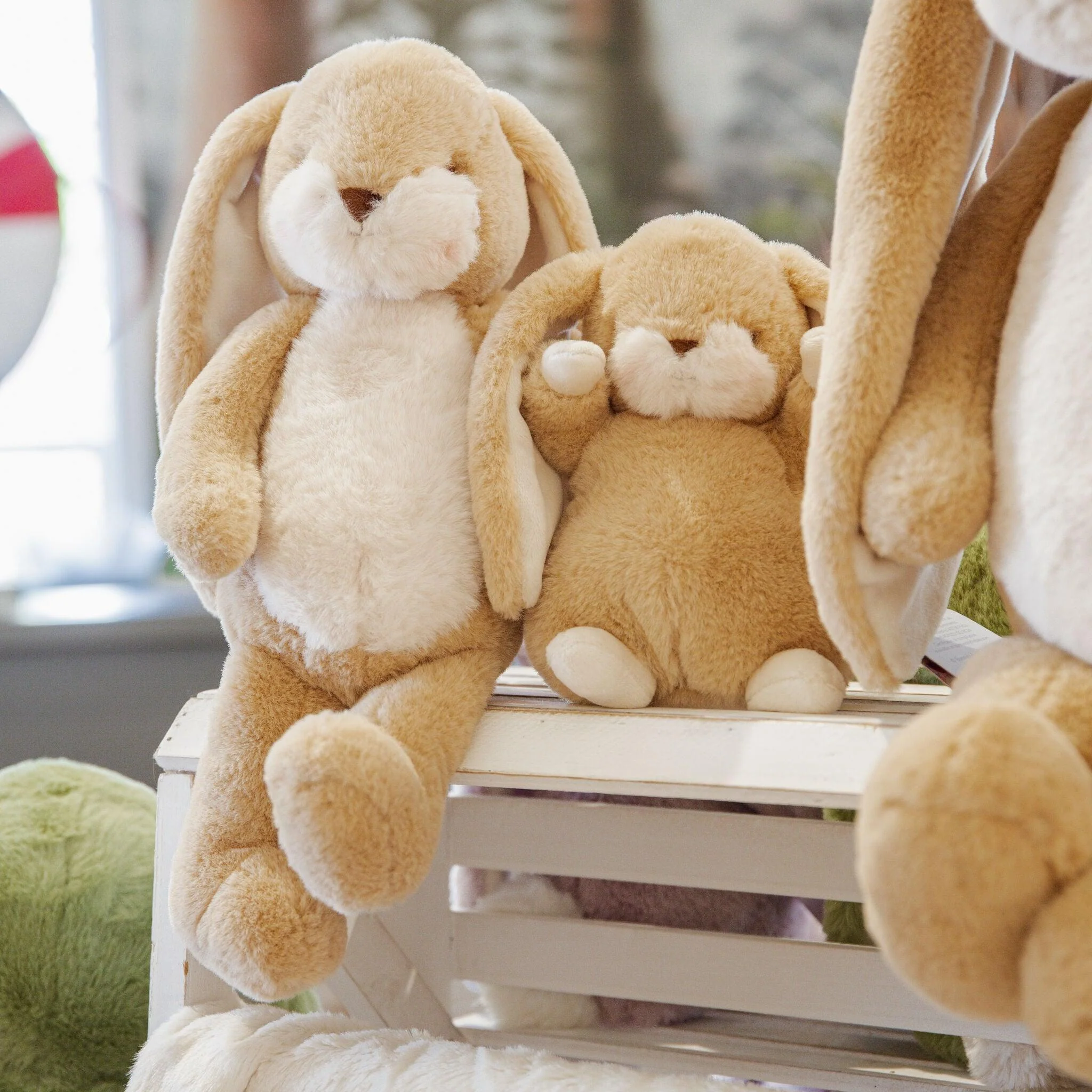 Little 12"  Floppy Nibble Bunny - Almond Joy - Image 5
