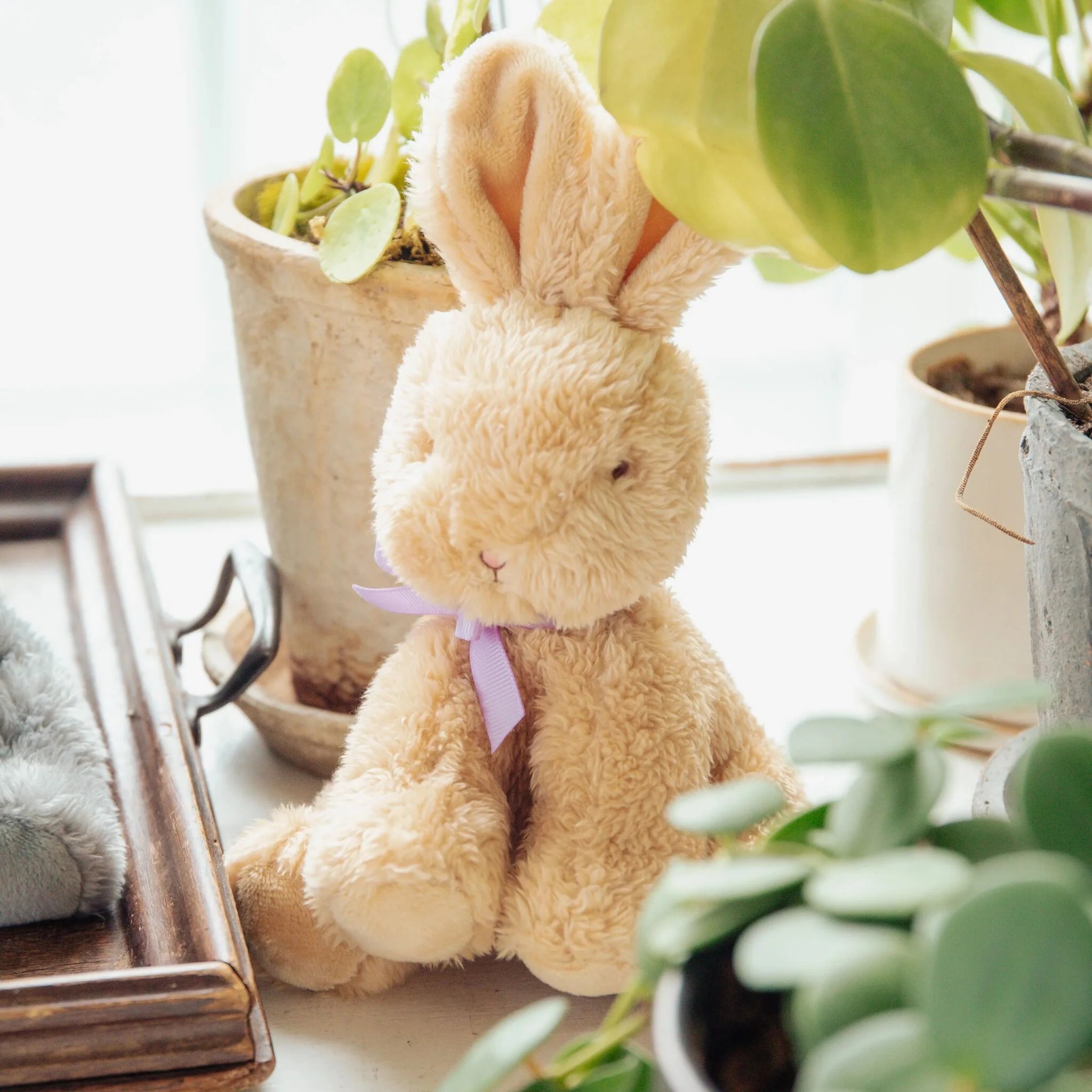 RETIRED - Little Lops Bunny Tan - Image 2