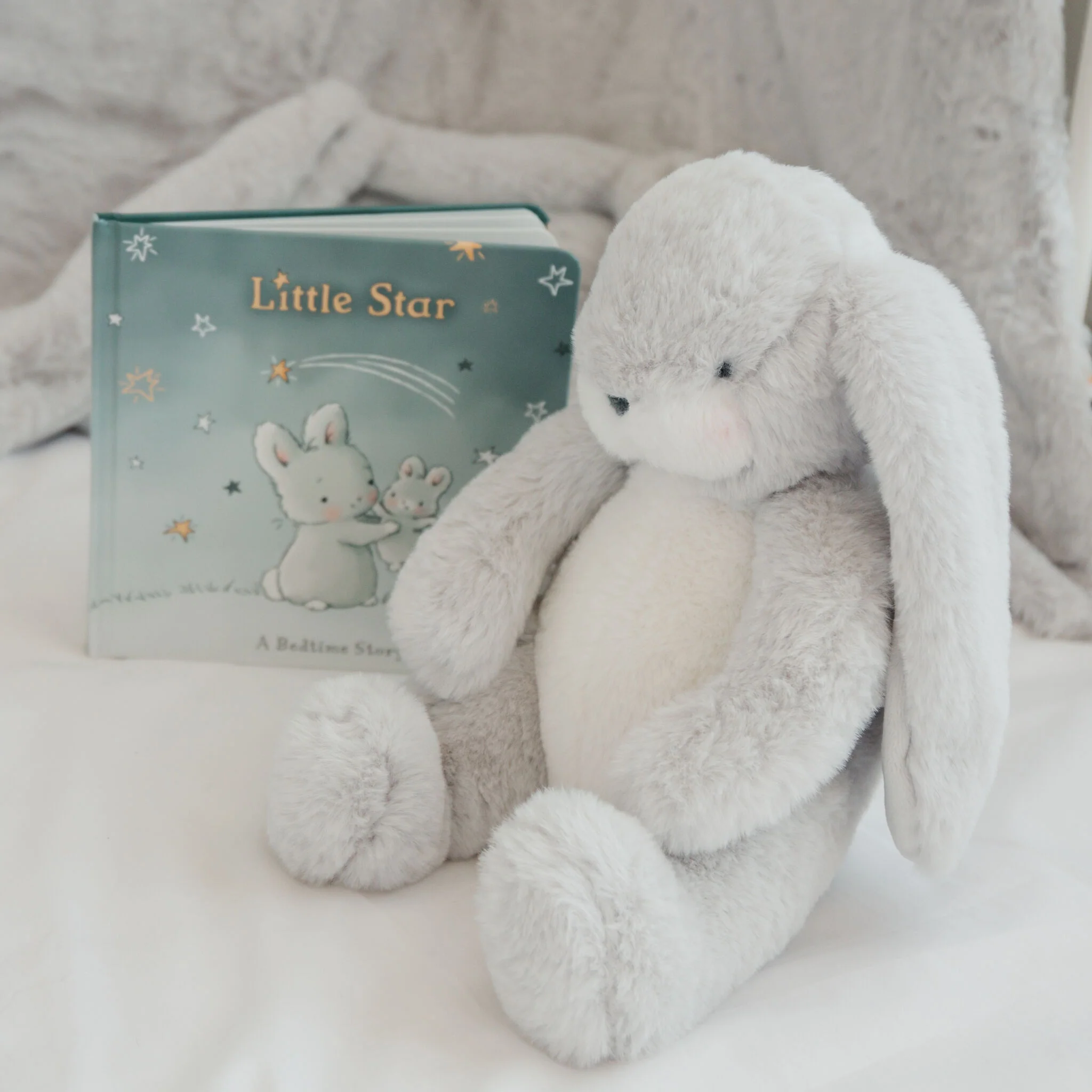 Little Nibble Gray Book Bundle - Image 3