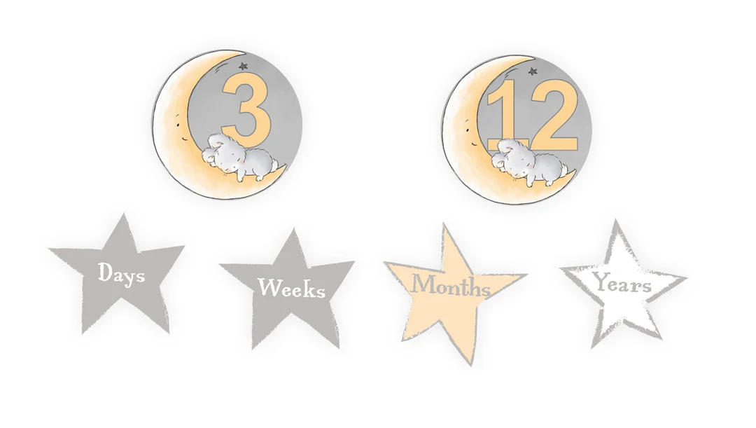 RETIRED - Little Star Picture Perfect Gift Set - Image 3