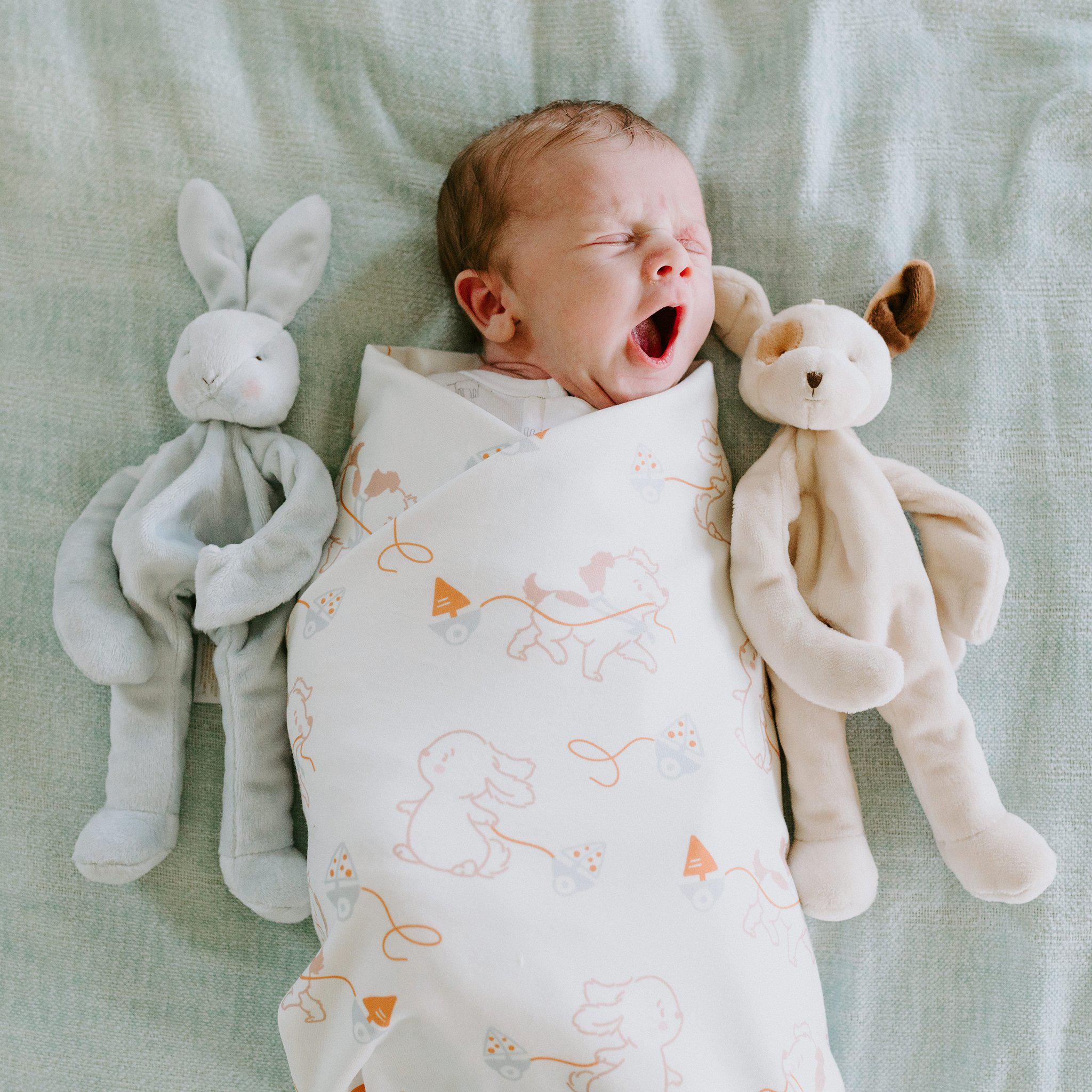 RETIRED - Newborn Baby Bud & Skipit Bundle Box - Image 3