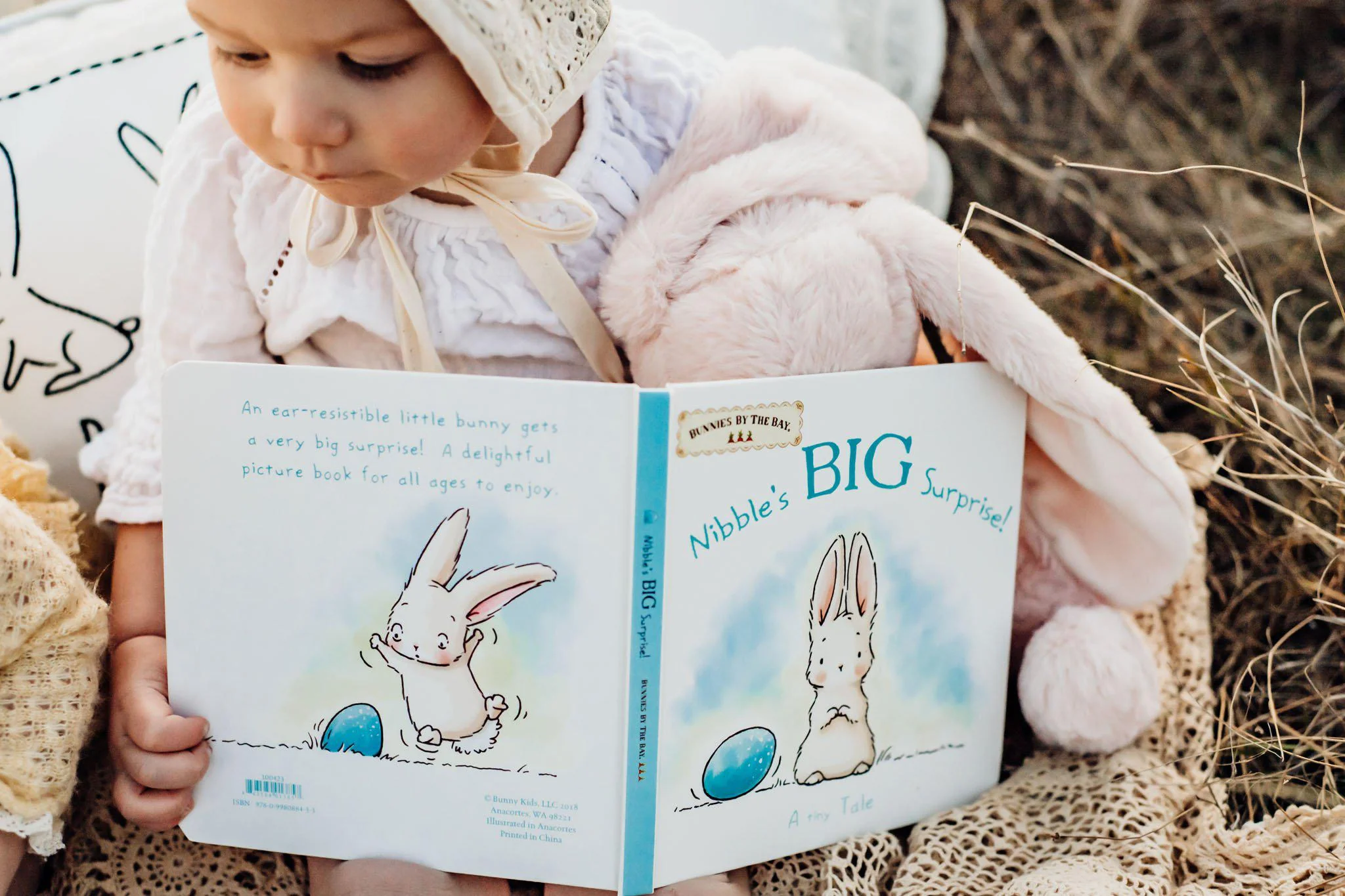 RETIRED - Nibble's Big Surprise Book - Image 3