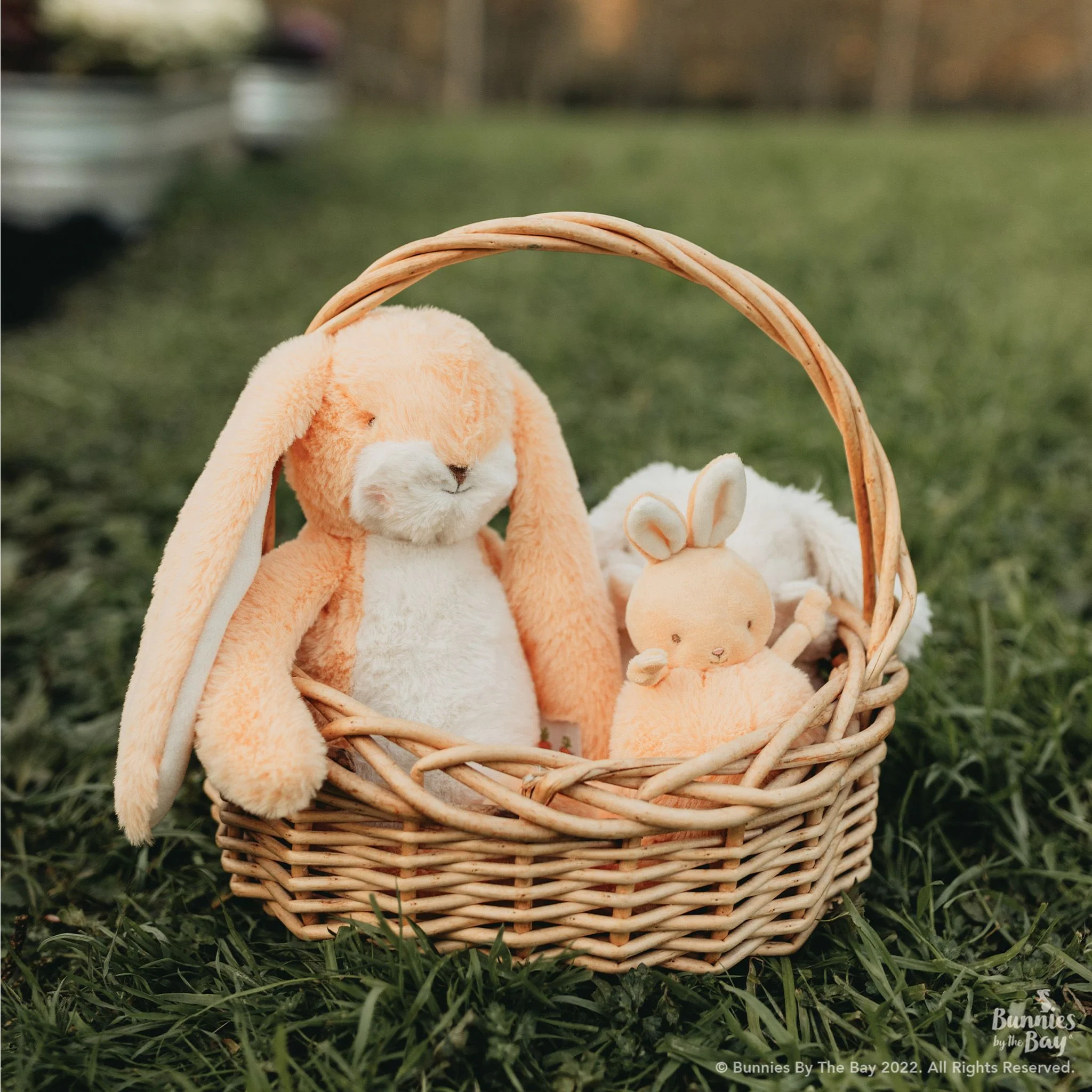 RETIRED - Roly Poly - Apricot Cream Bunny - Image 2
