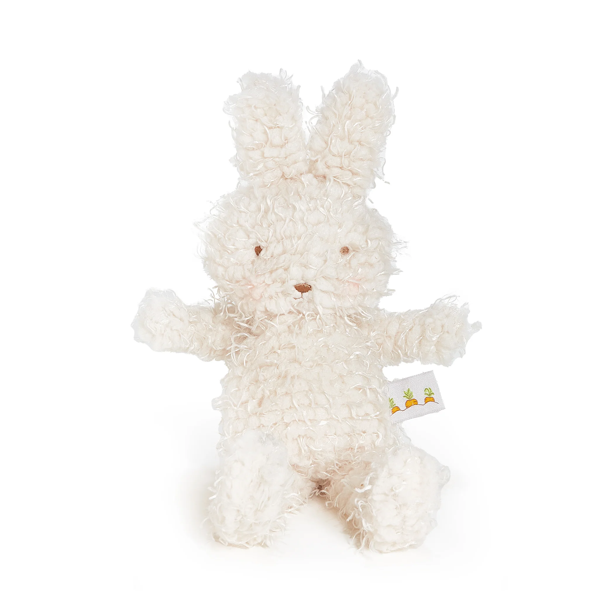 Shaggy Hoppy the Bunny