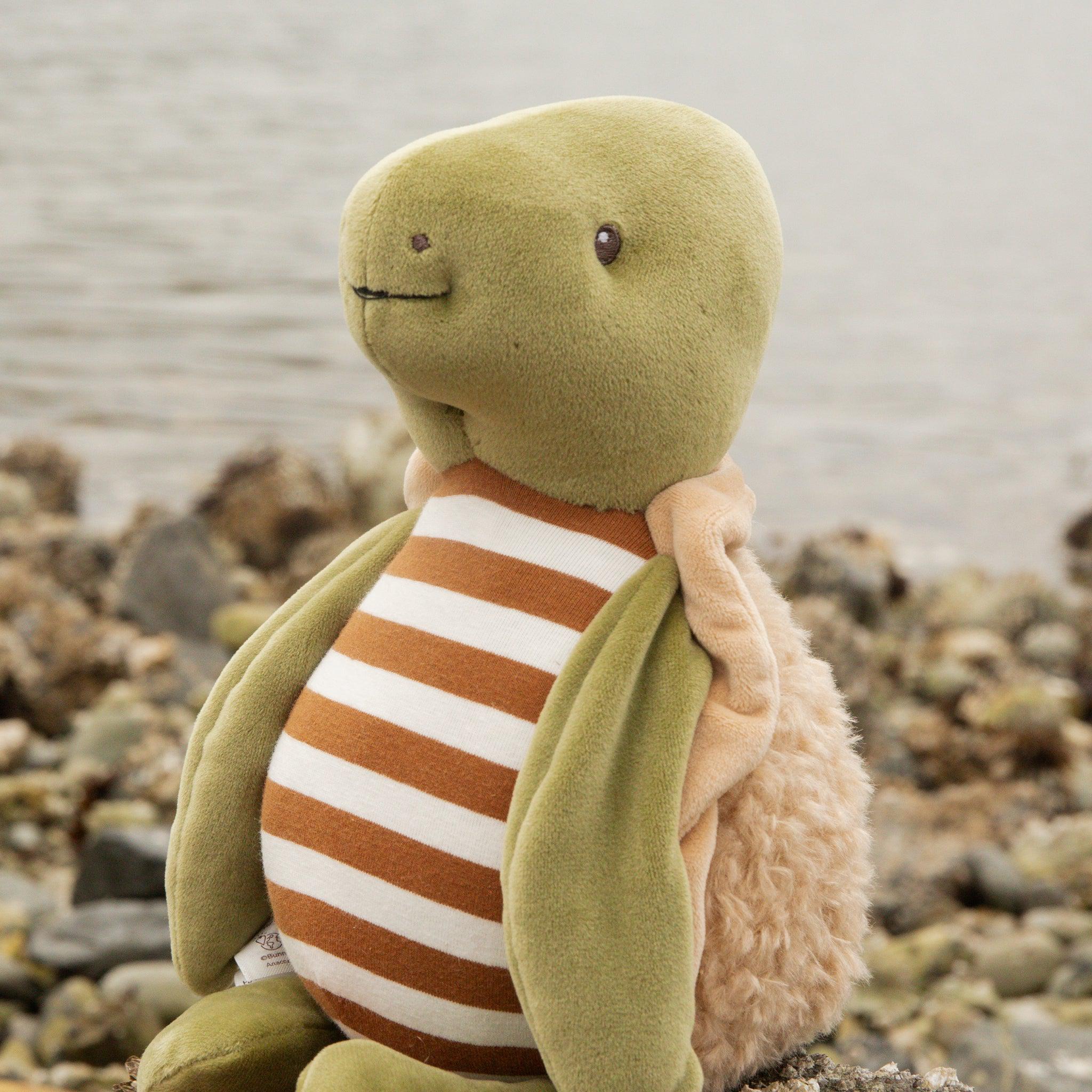 RETIRED - Sheldon the Turtle - Image 2