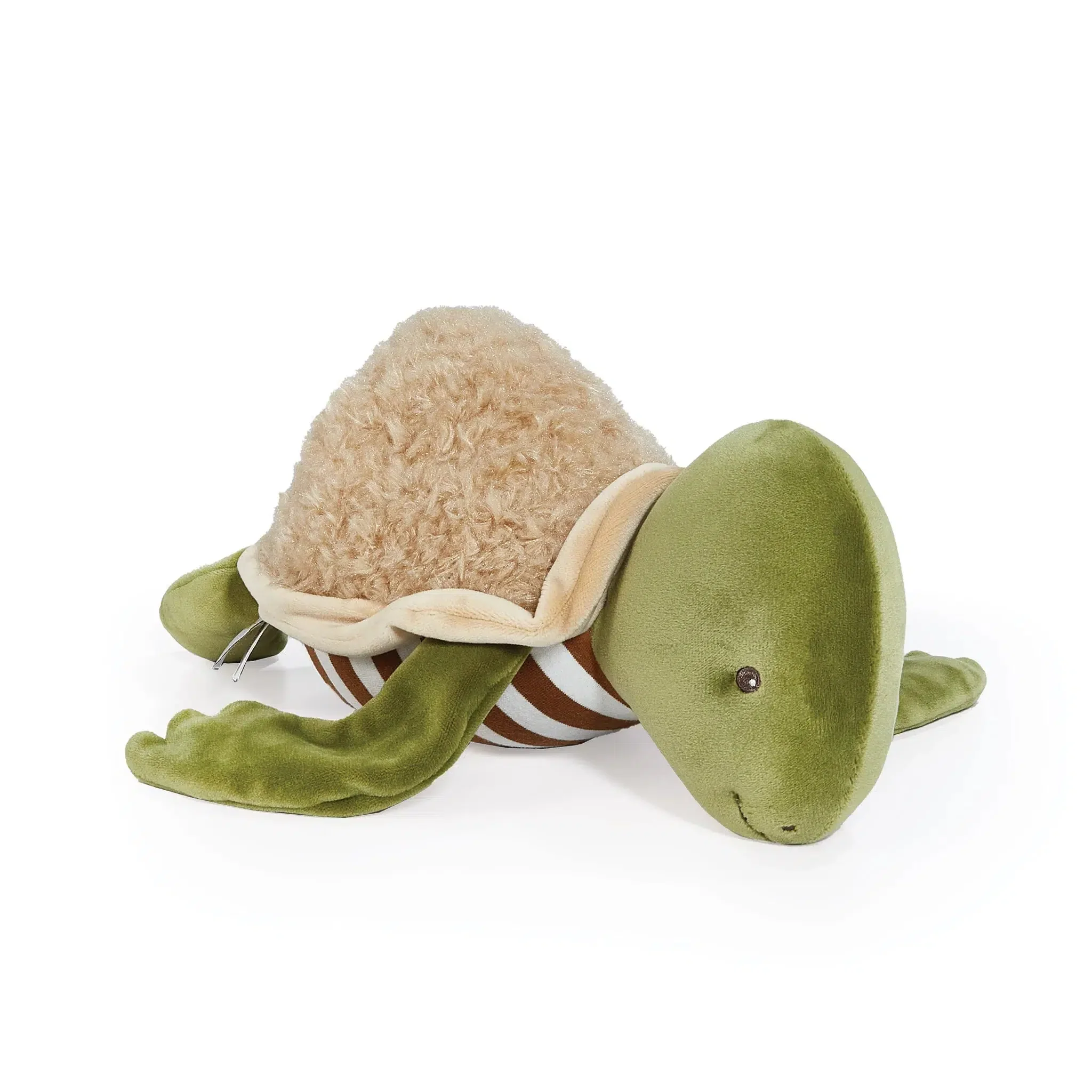 RETIRED - Sheldon the Turtle - Image 4