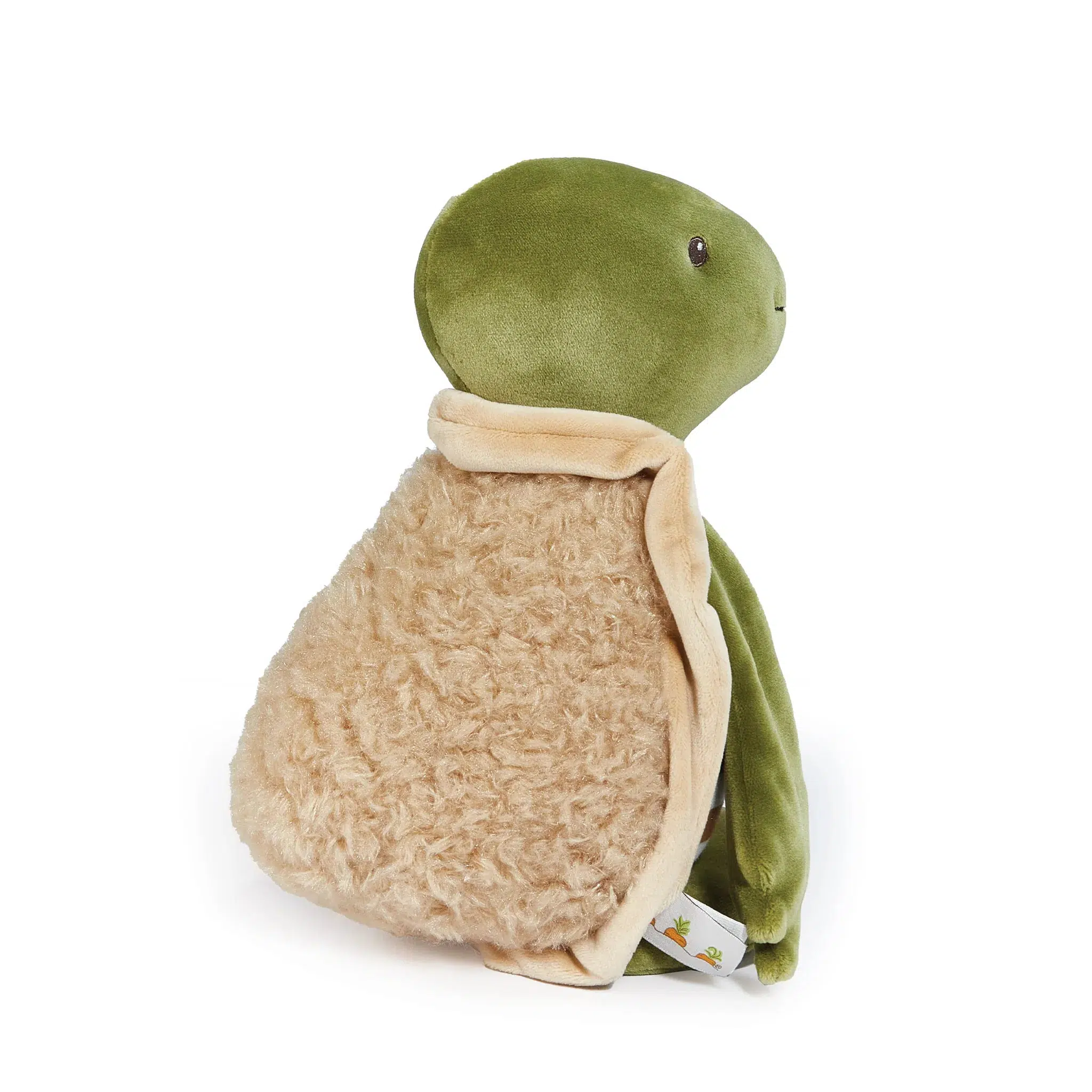 RETIRED - Sheldon the Turtle - Image 5