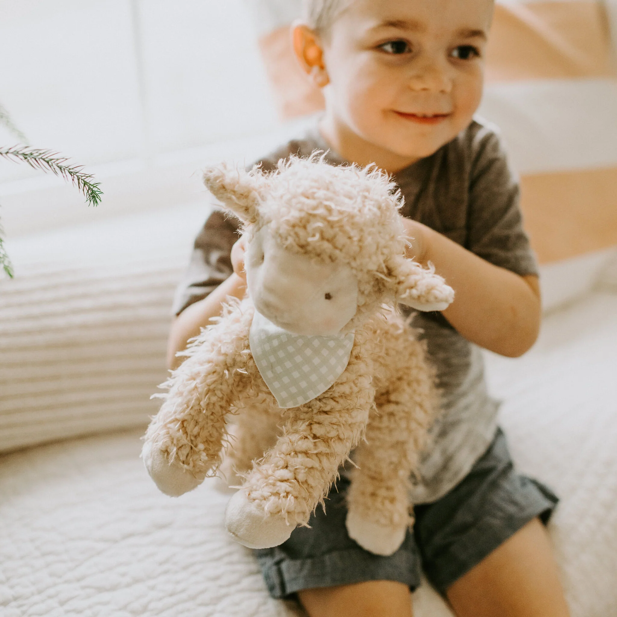 Shep the Sheep - Image 2
