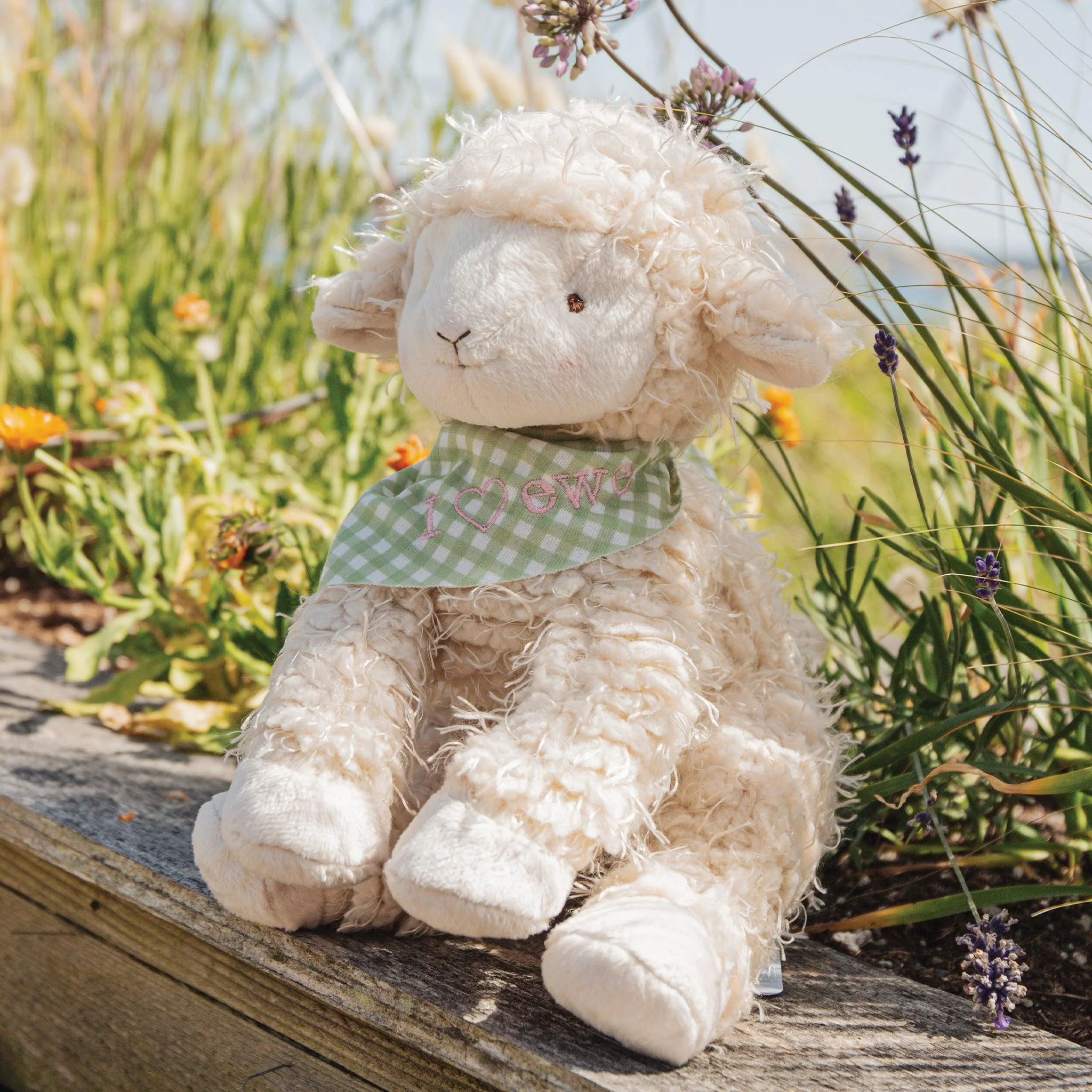 Shep the Sheep - Image 5