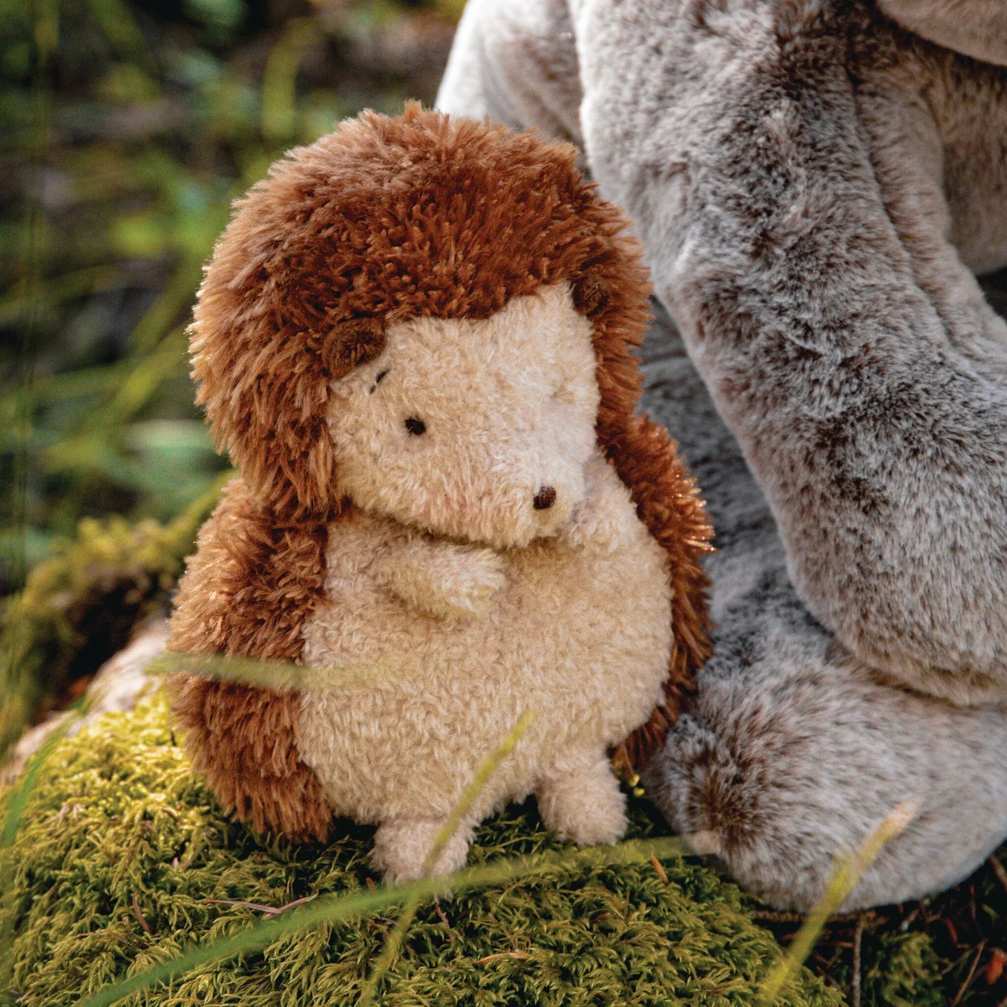 Smidgen The Hedgehog - Image 5