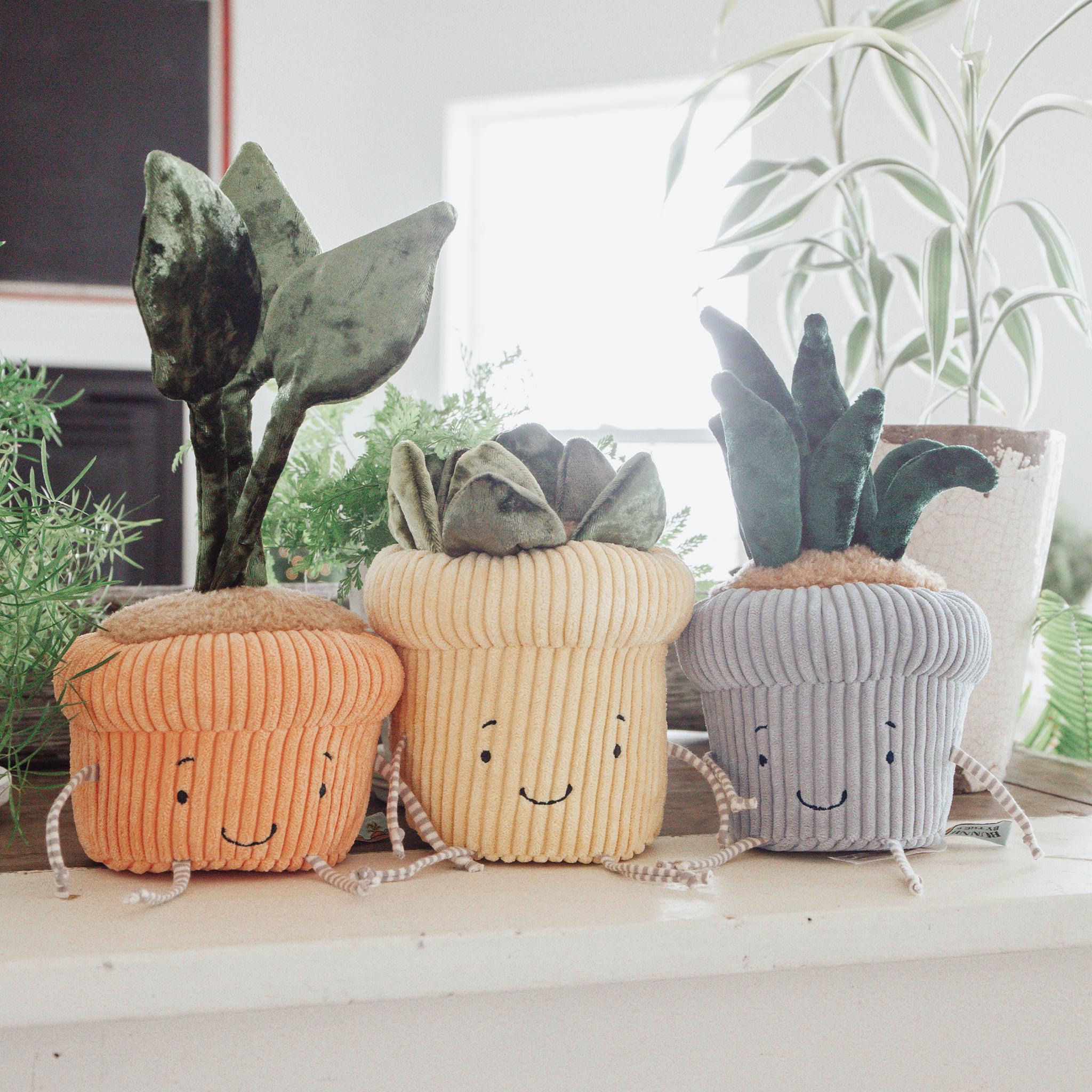 RETIRED - Snake Plant Windowsill Plush - Image 2