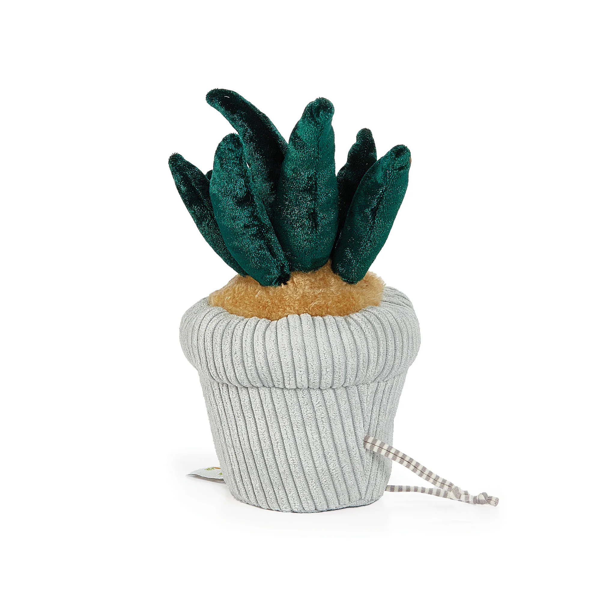 RETIRED - Snake Plant Windowsill Plush - Image 4