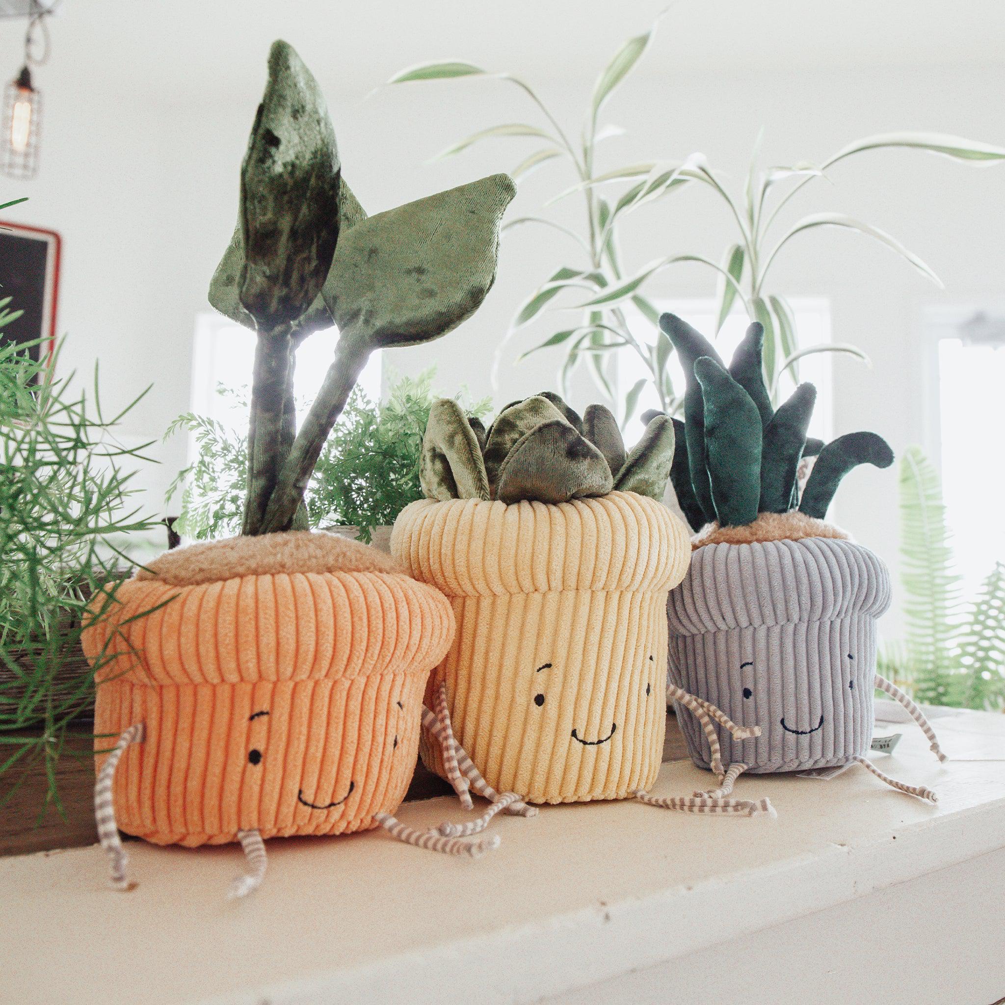 RETIRED - Succulent Plant Windowsill Plush - Image 3