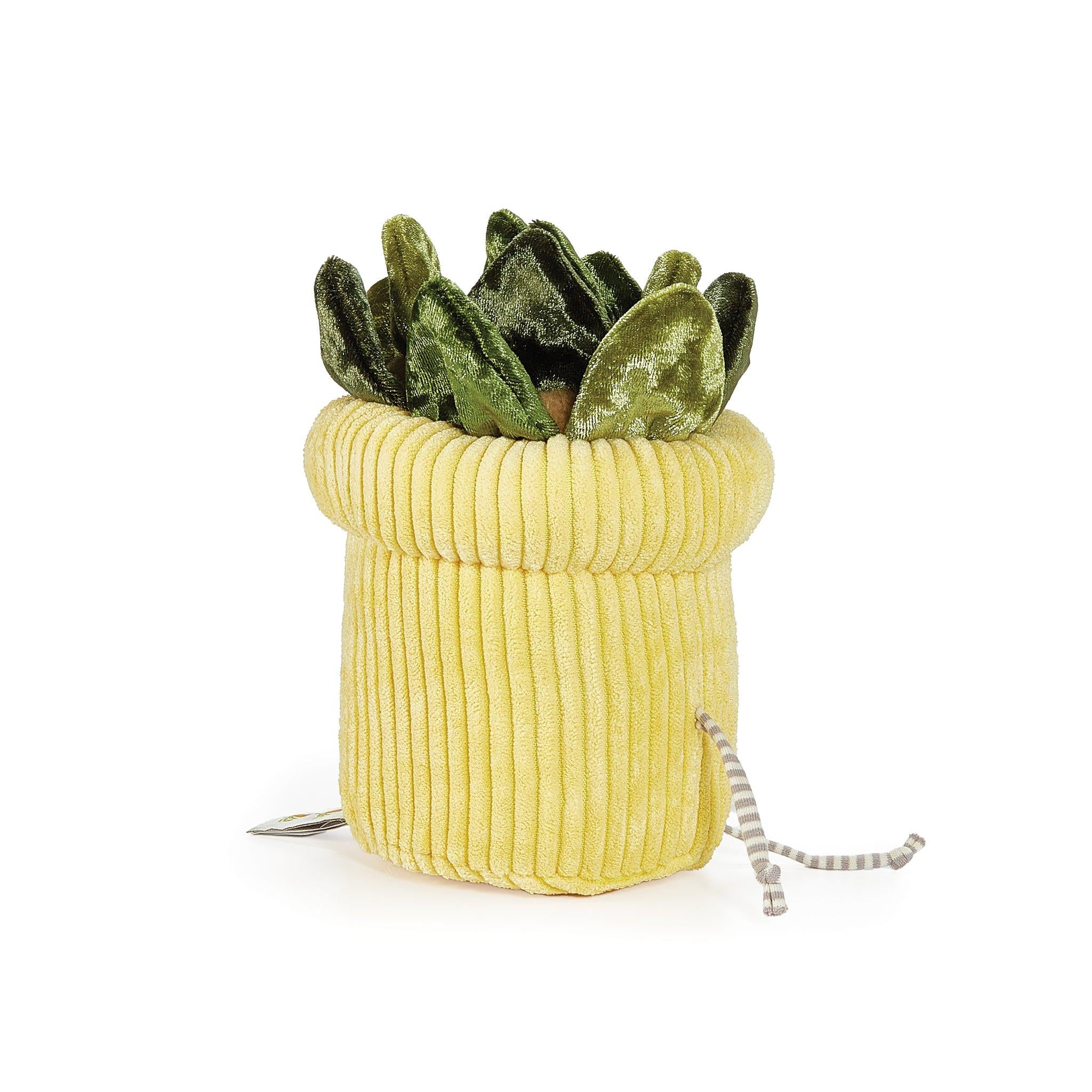 RETIRED - Succulent Plant Windowsill Plush - Image 5