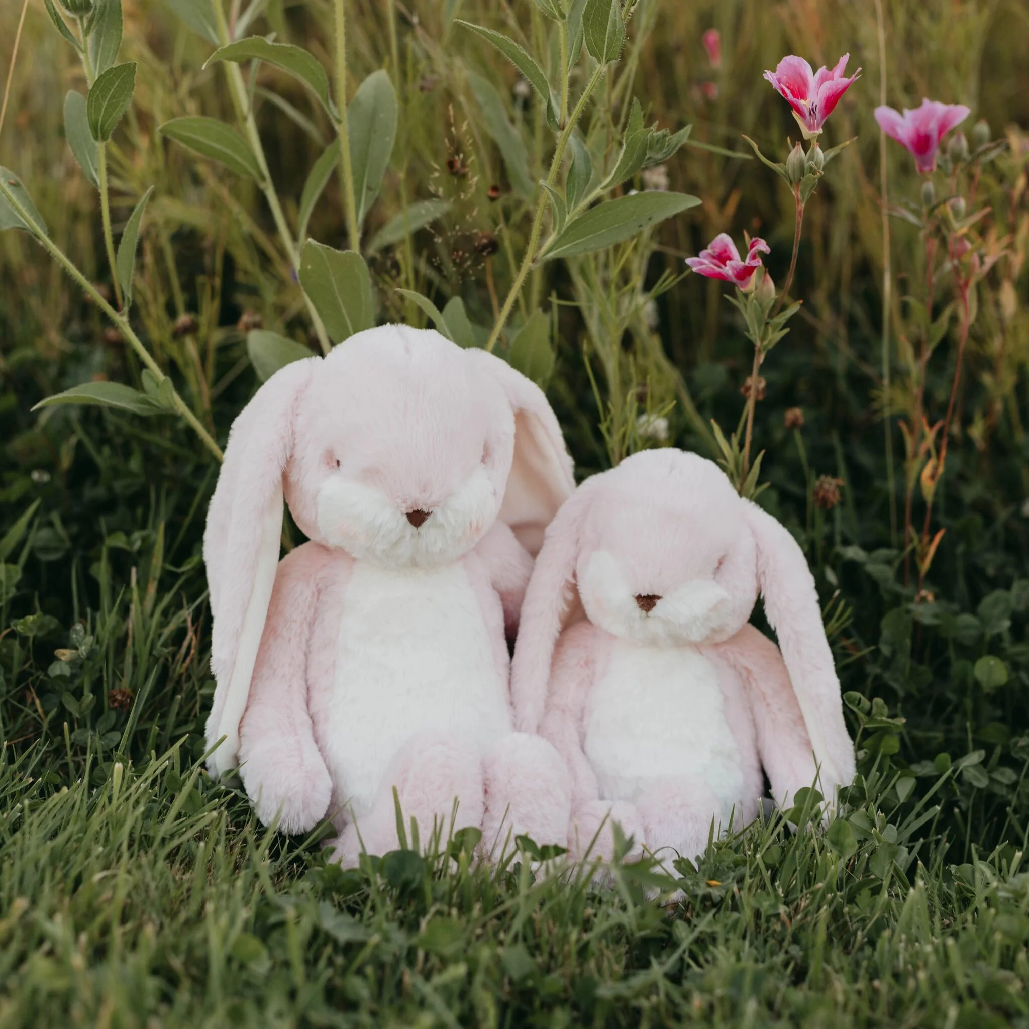 Sweet 16" Floppy Nibble Bunny – Pink - Image 6