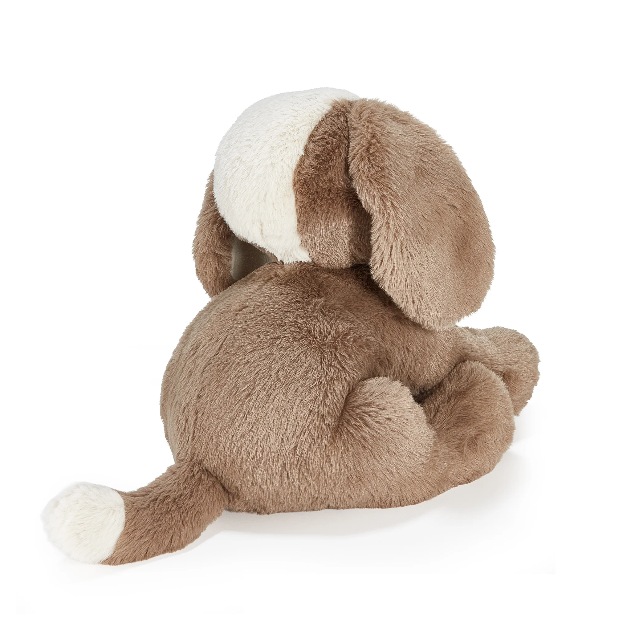 Sweet Floppy Mutt - Toffee - Image 4