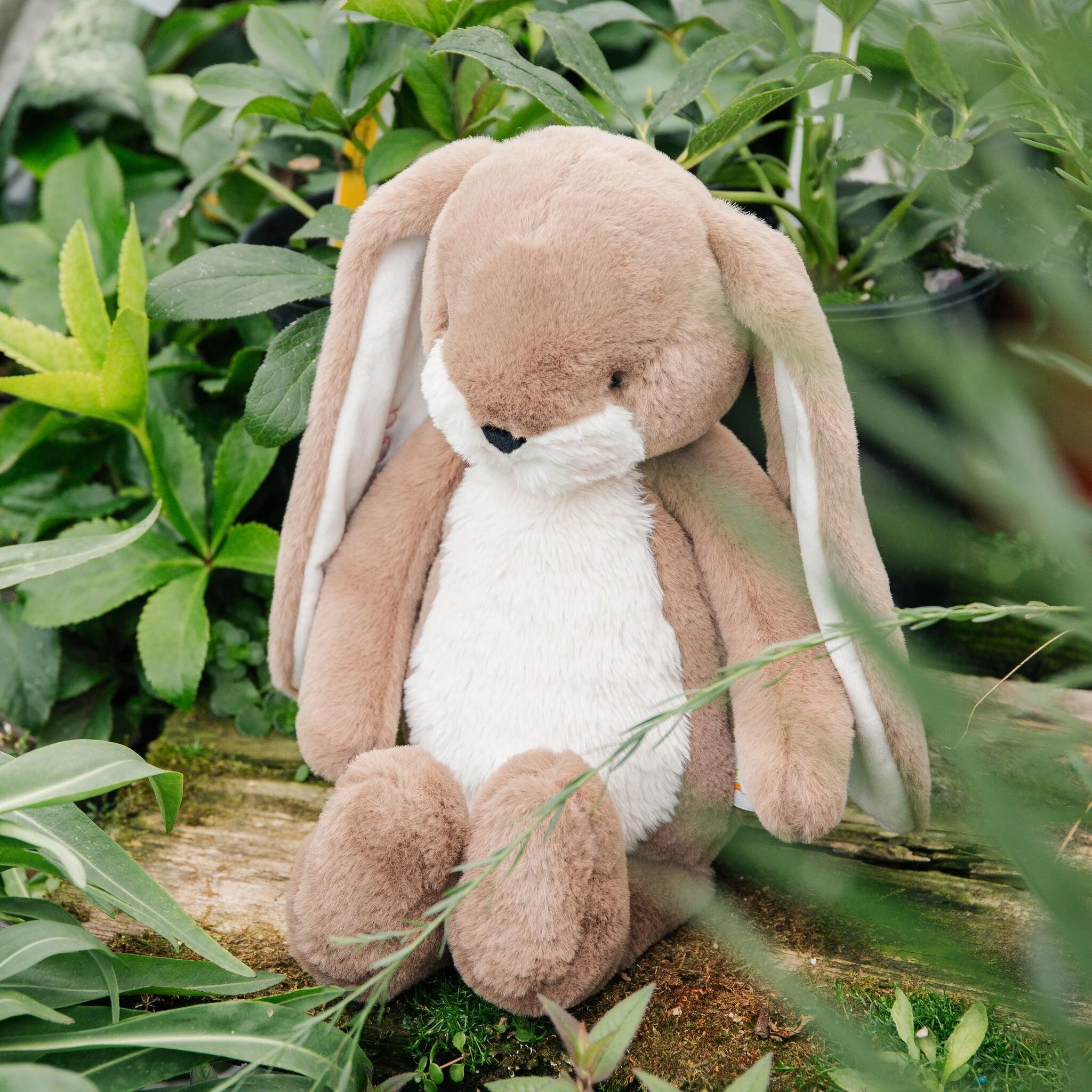 Sweet 16" Floppy Nibble Bunny - Ginger Snap - Image 5