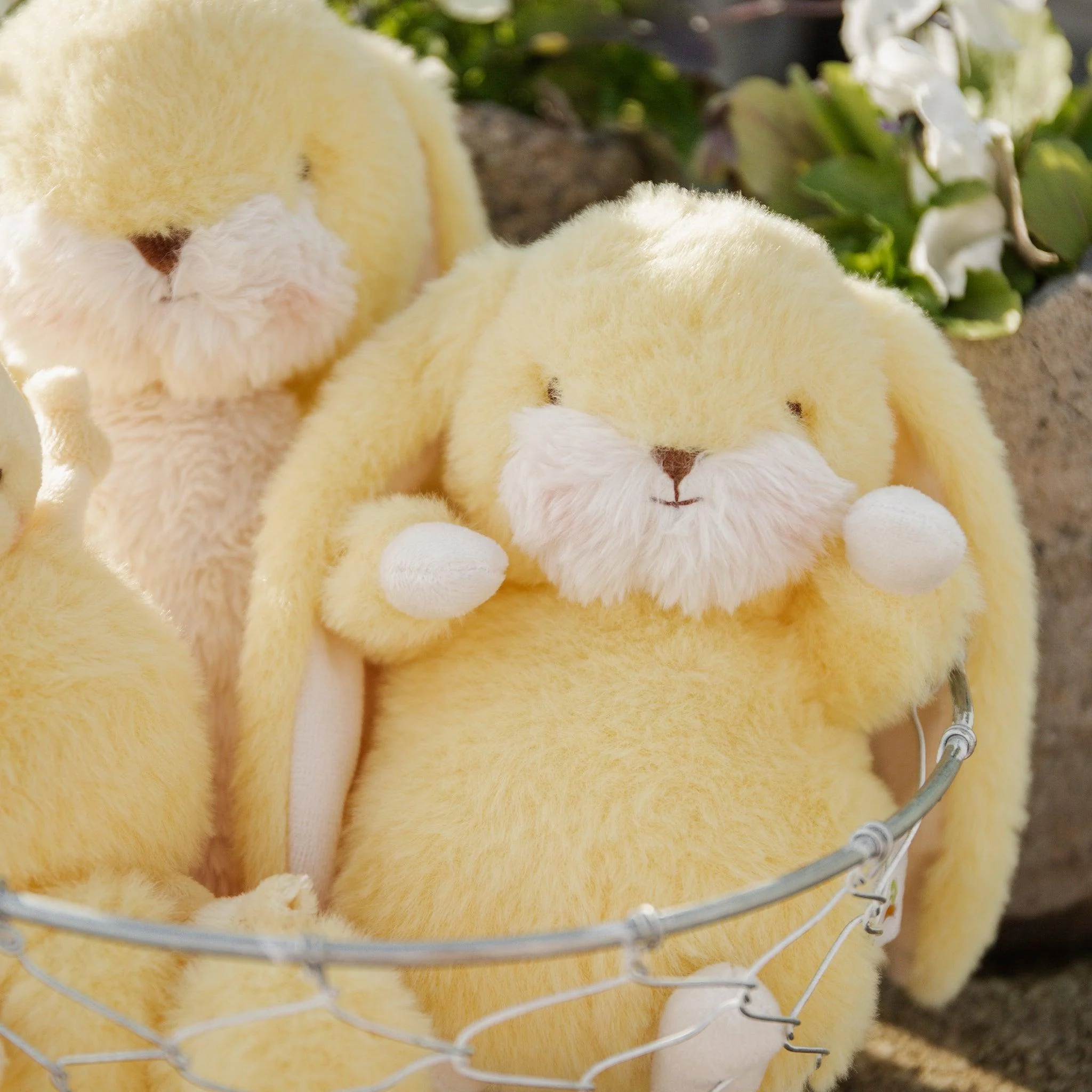 RETIRED - Tiny 8" Nibble Bunny - Lemongrass - Image 2